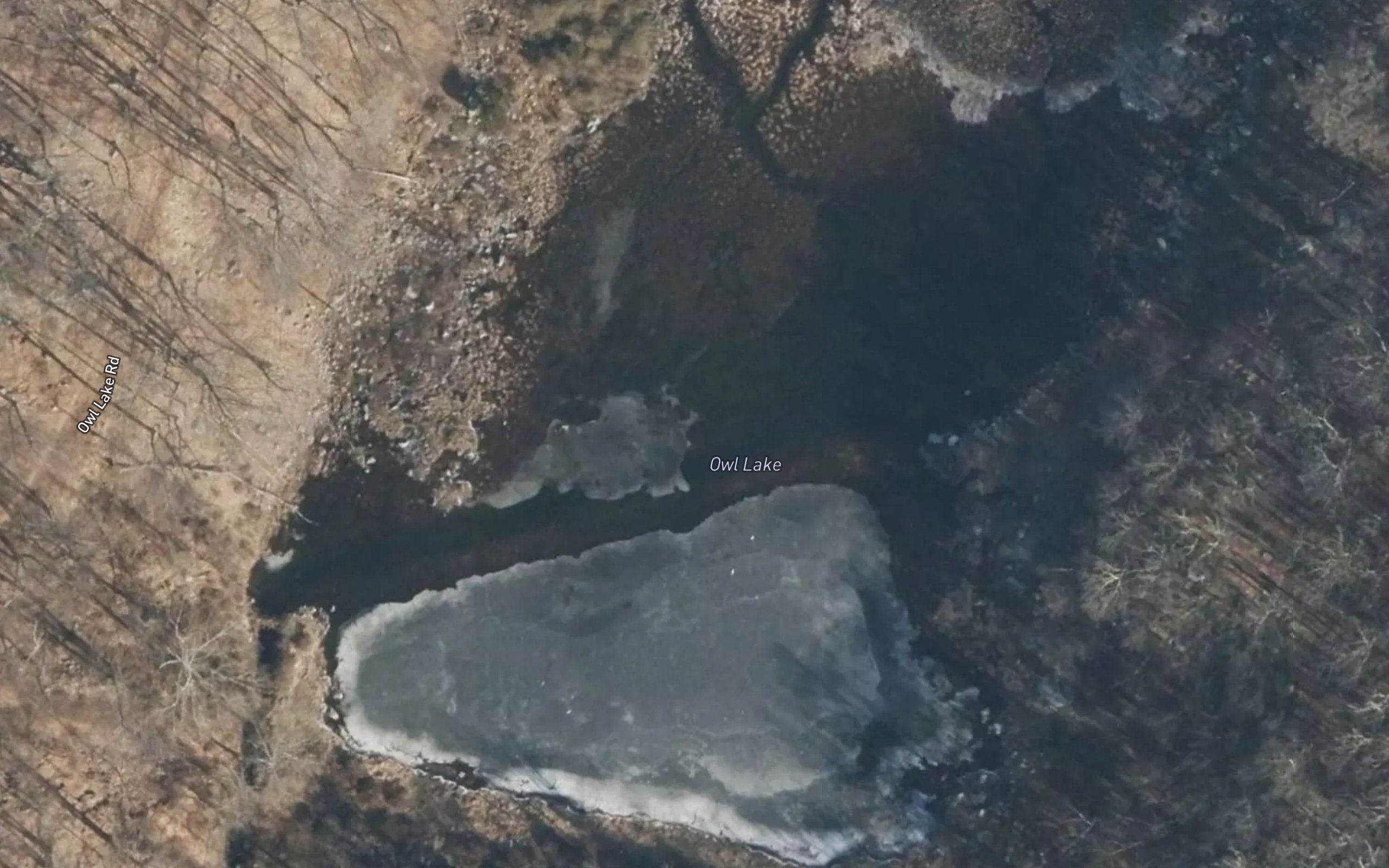 Owl Lake