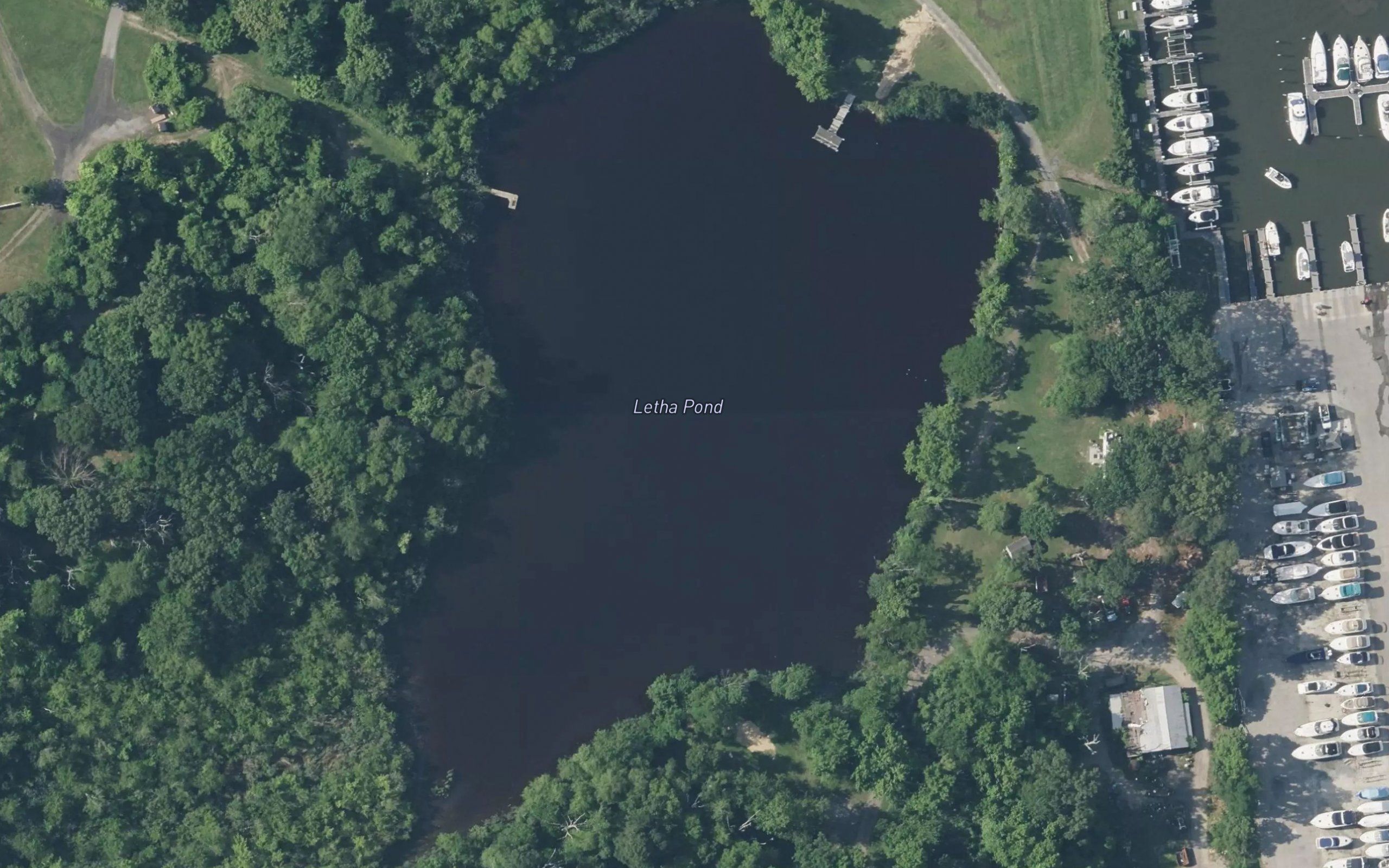 Letha Ponds