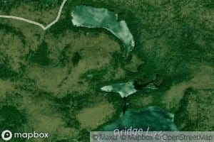 Ellis Pond