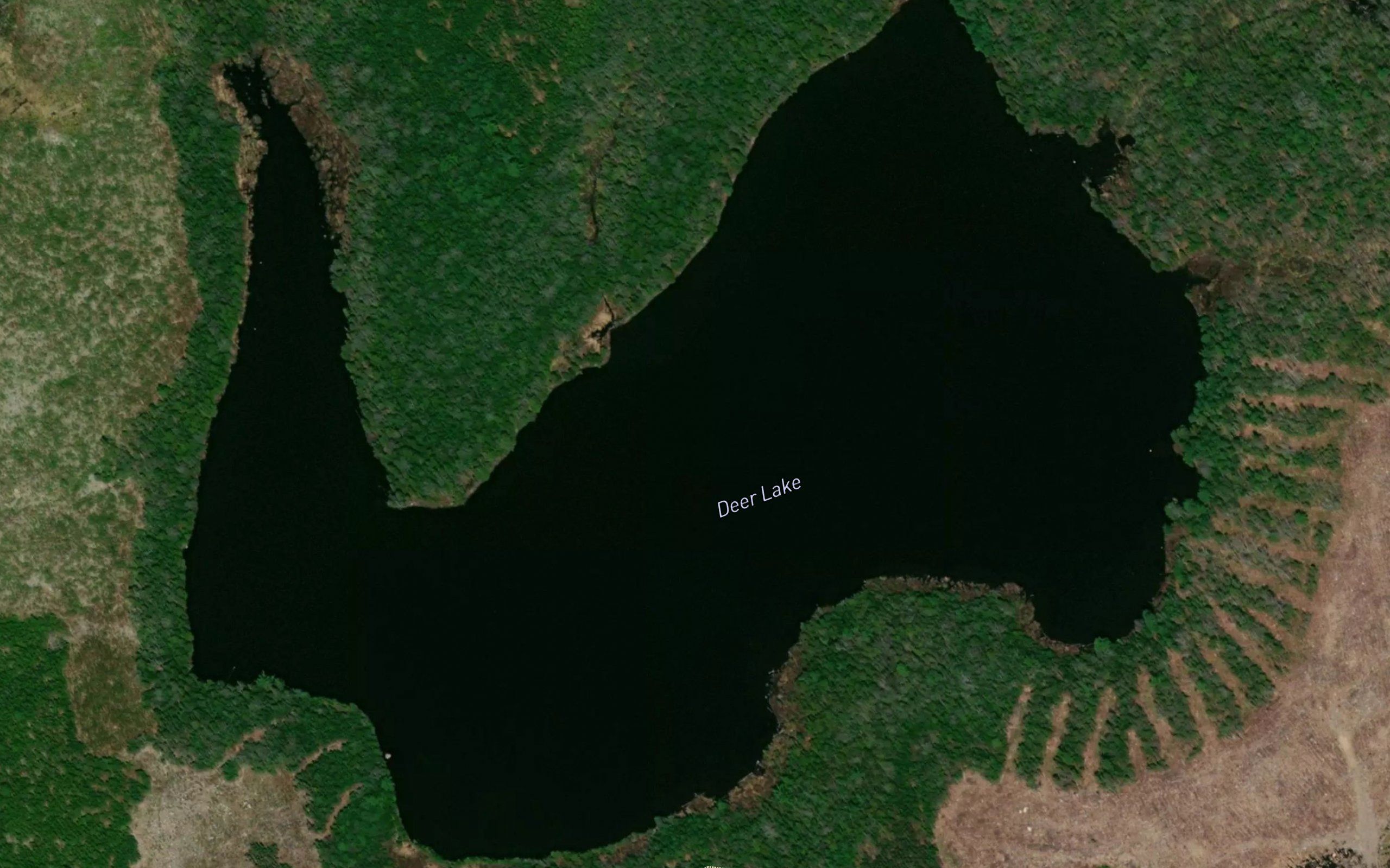 Deer Lake