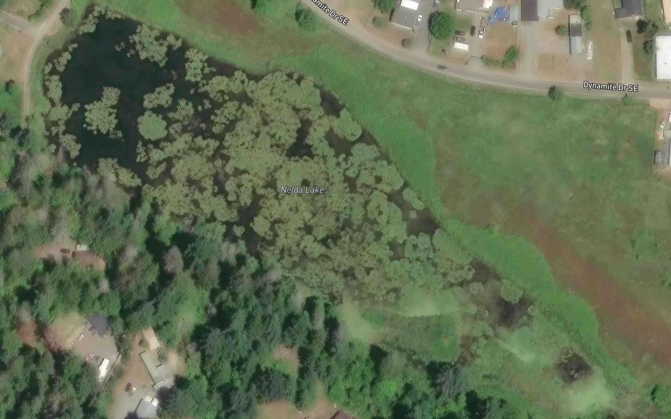 Nelda Lake