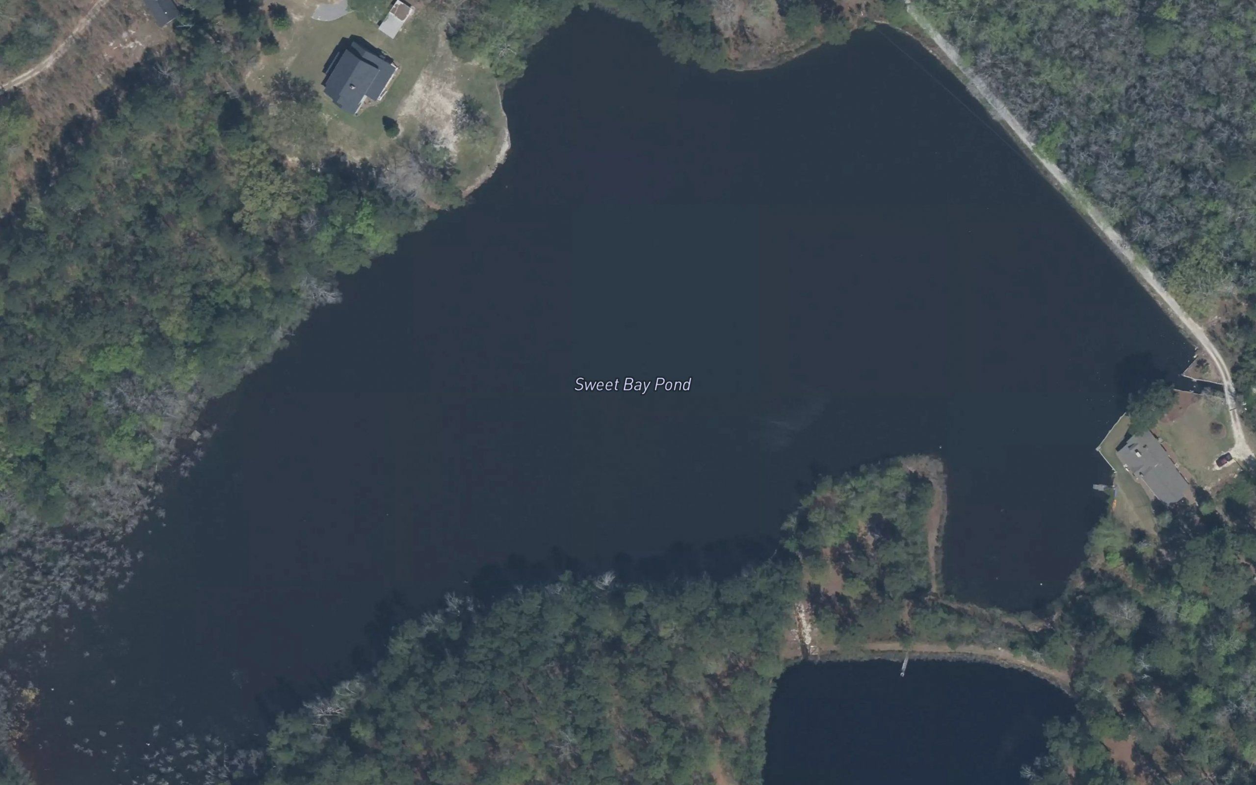 Sweet Bay Pond