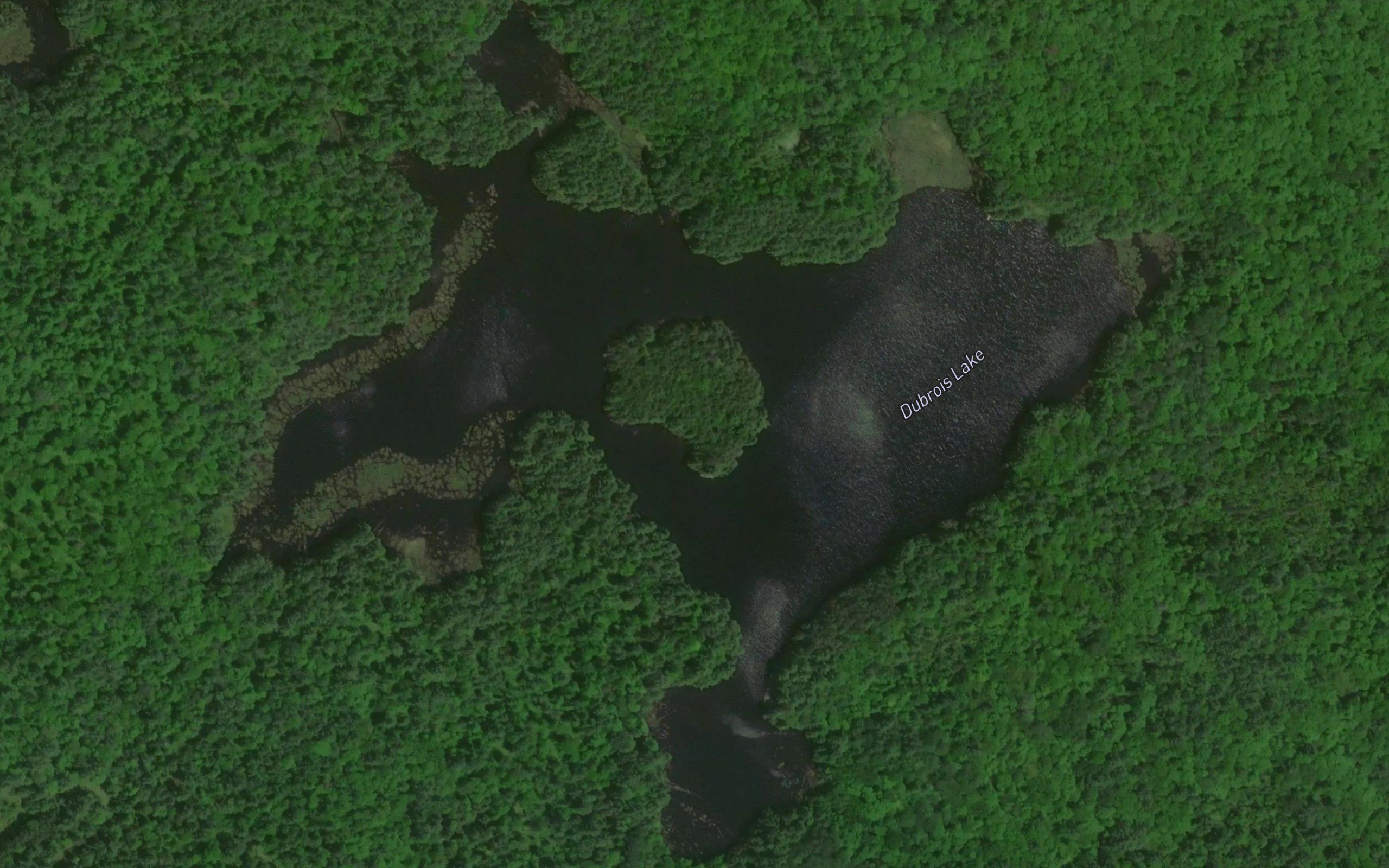 Dubrois Lake