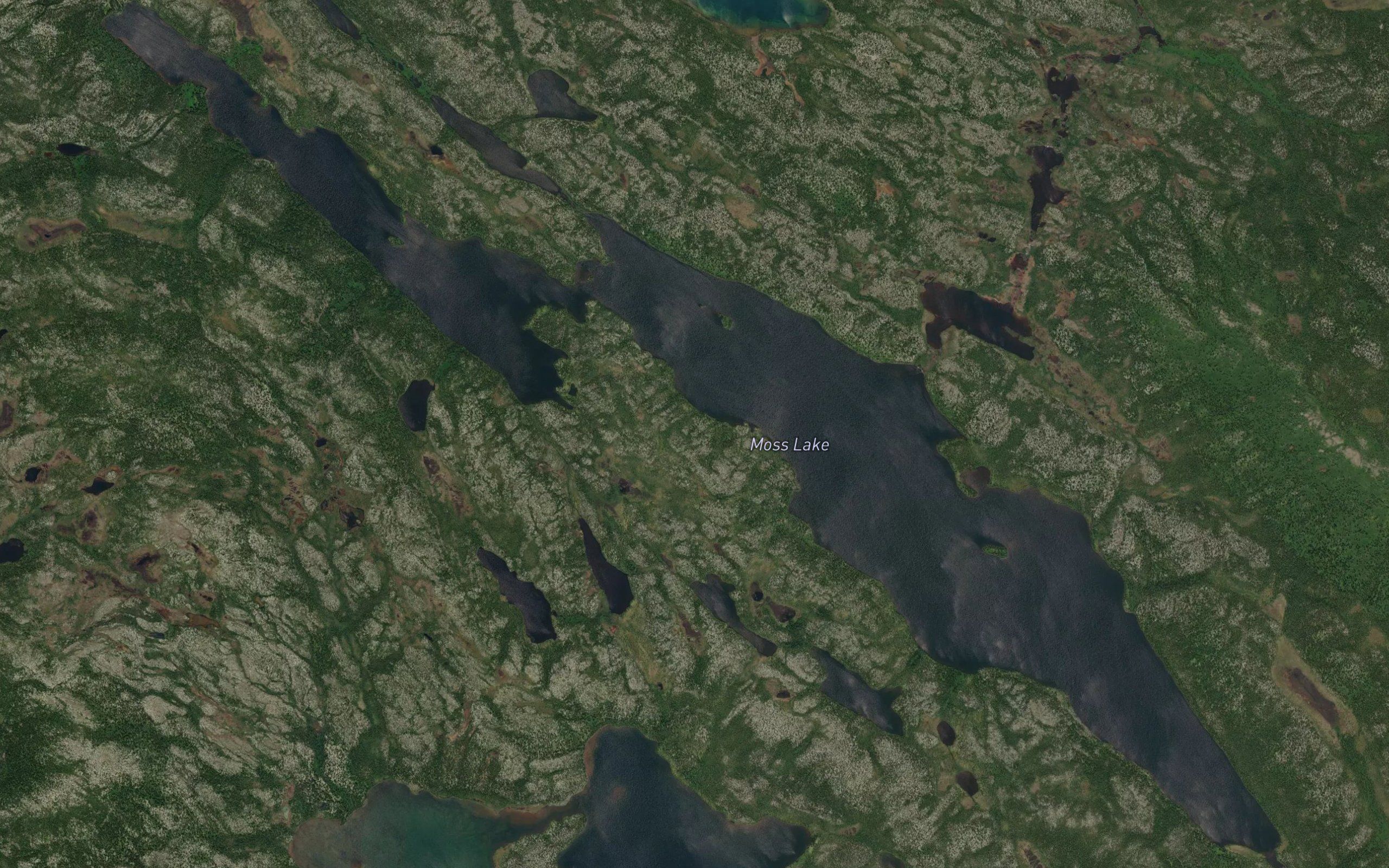 Moss Lake