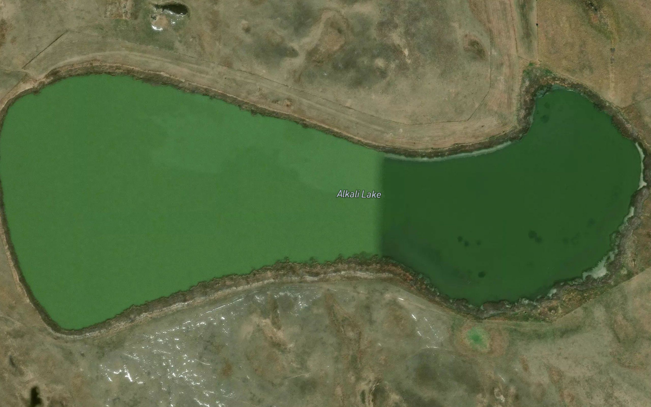 Alkali Lake