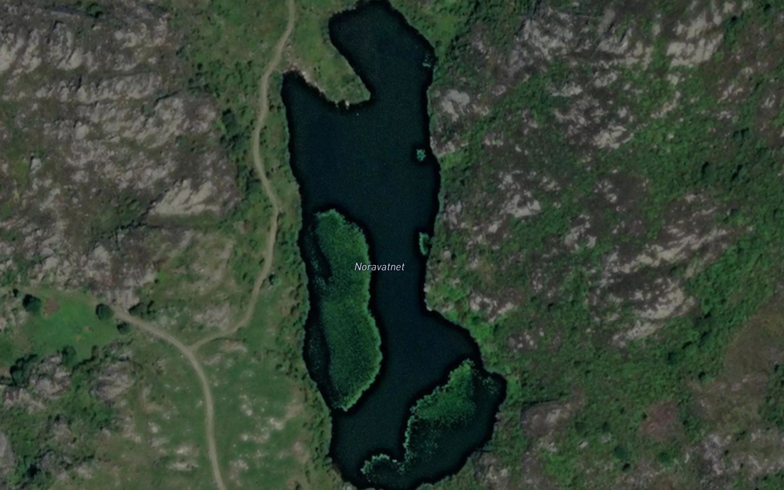 Noravatnet