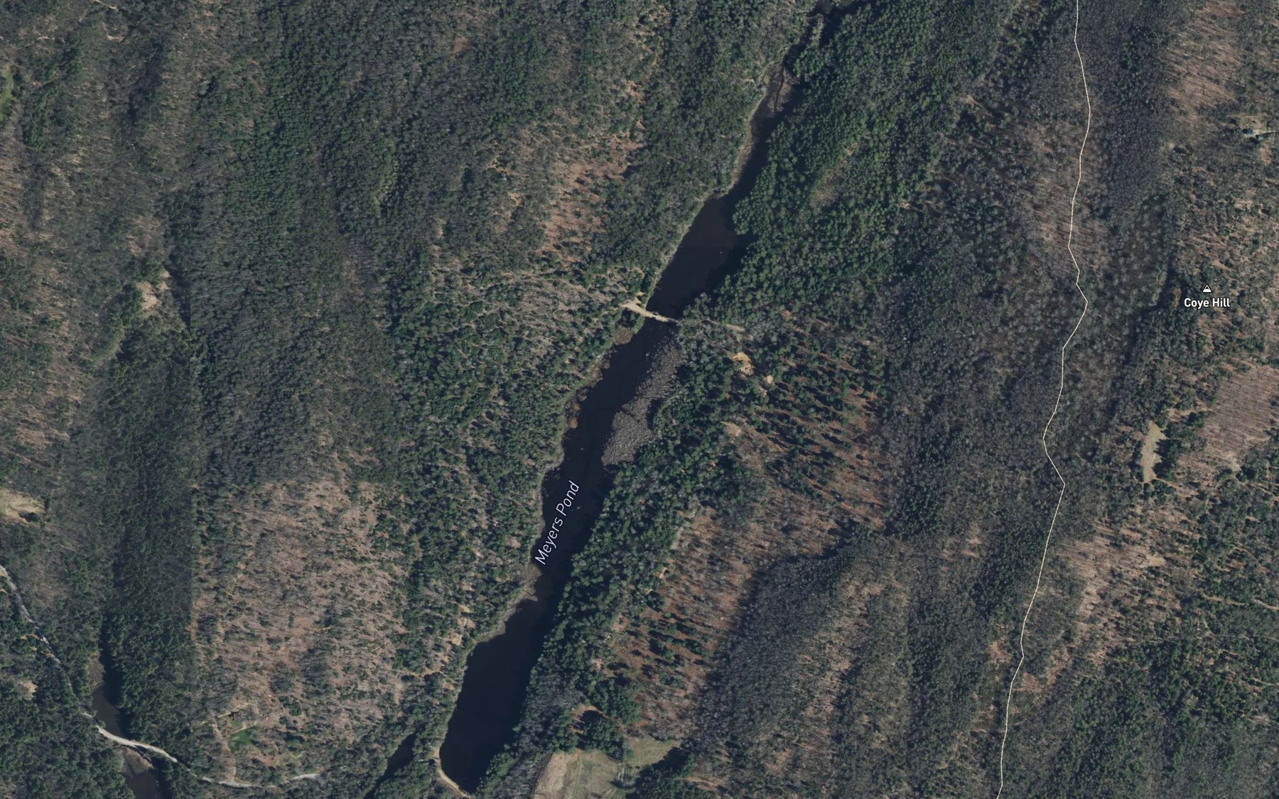 Satellite map of the Myers Pond