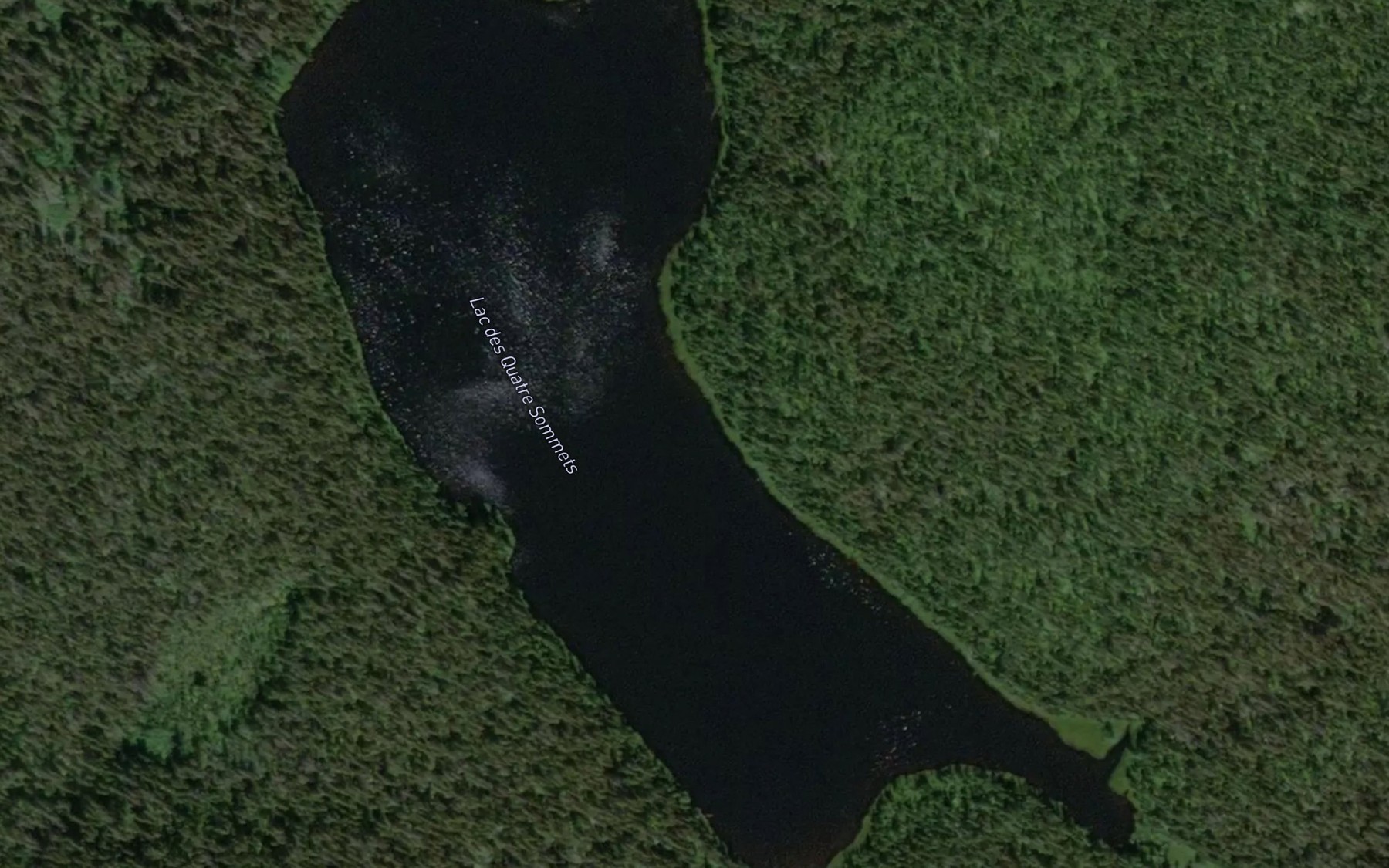 Satellite map of the Lac des Quatre Sommets