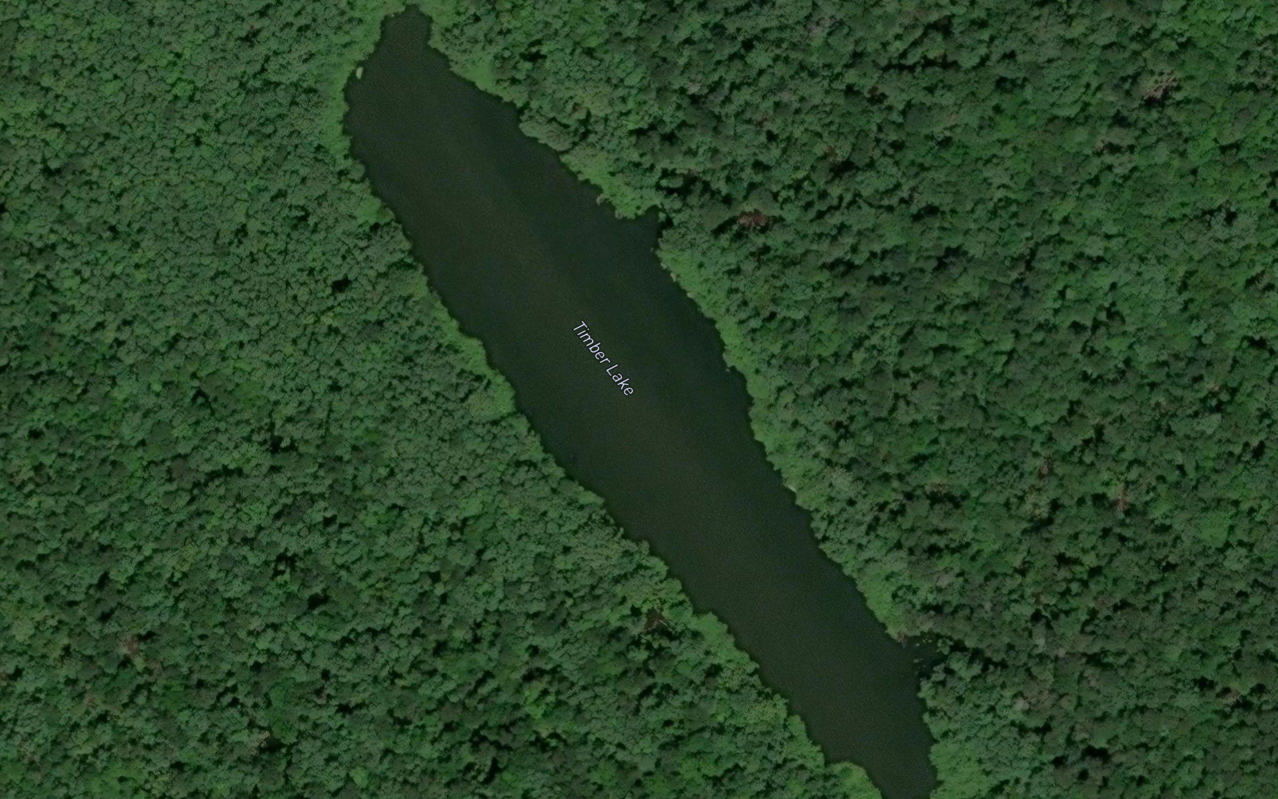 Timber Lake