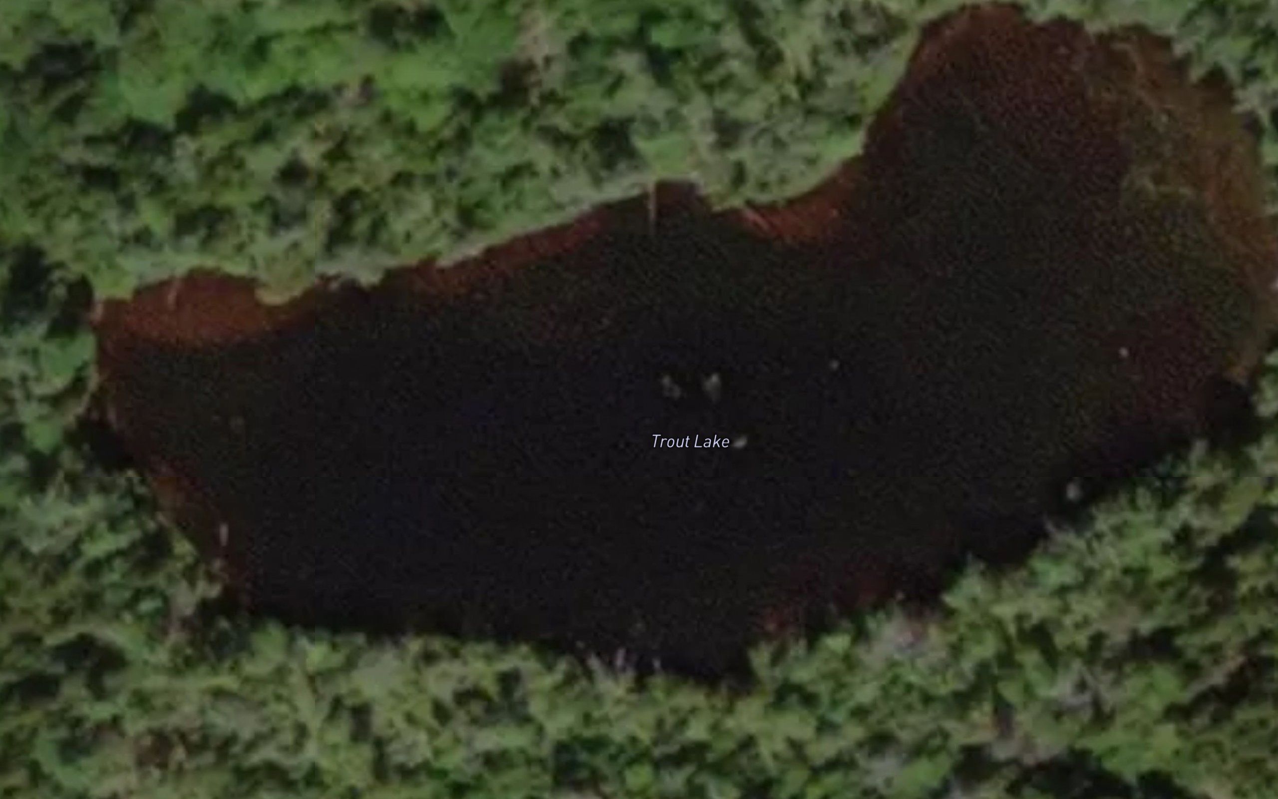 Trout Lake