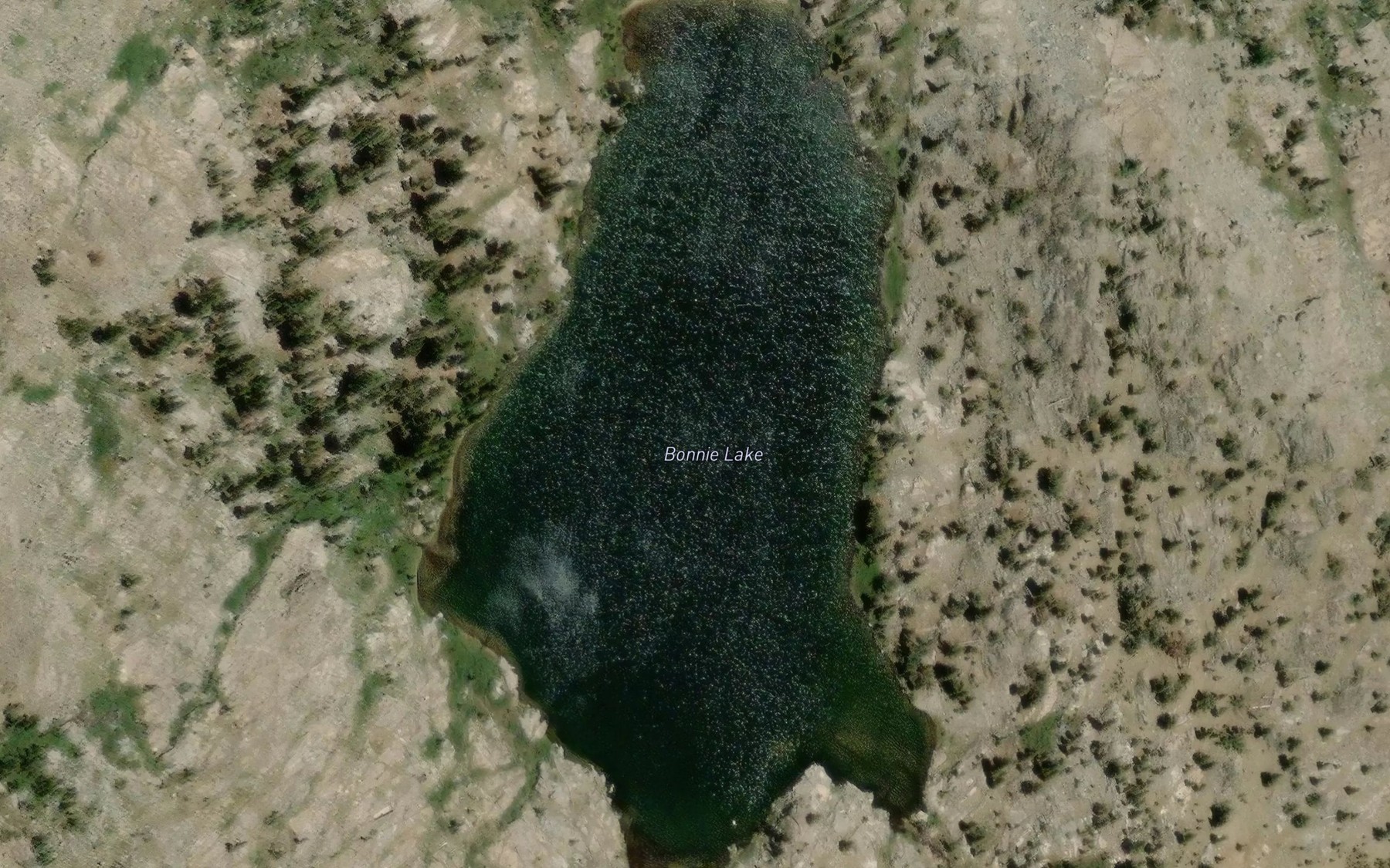 Satellite map of the Bonnie Lake