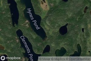Hynes Pond