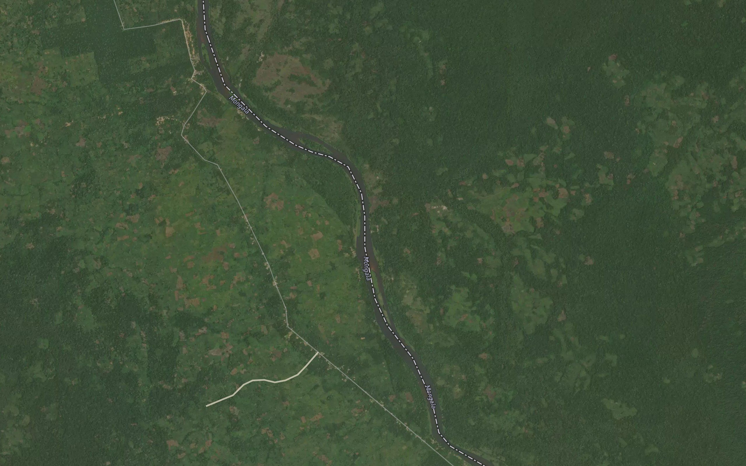 Okongo
