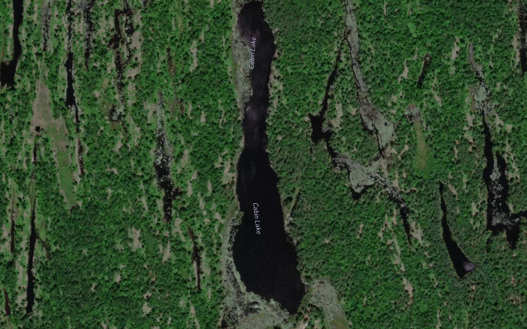 Satellite map of the Cabin Lake