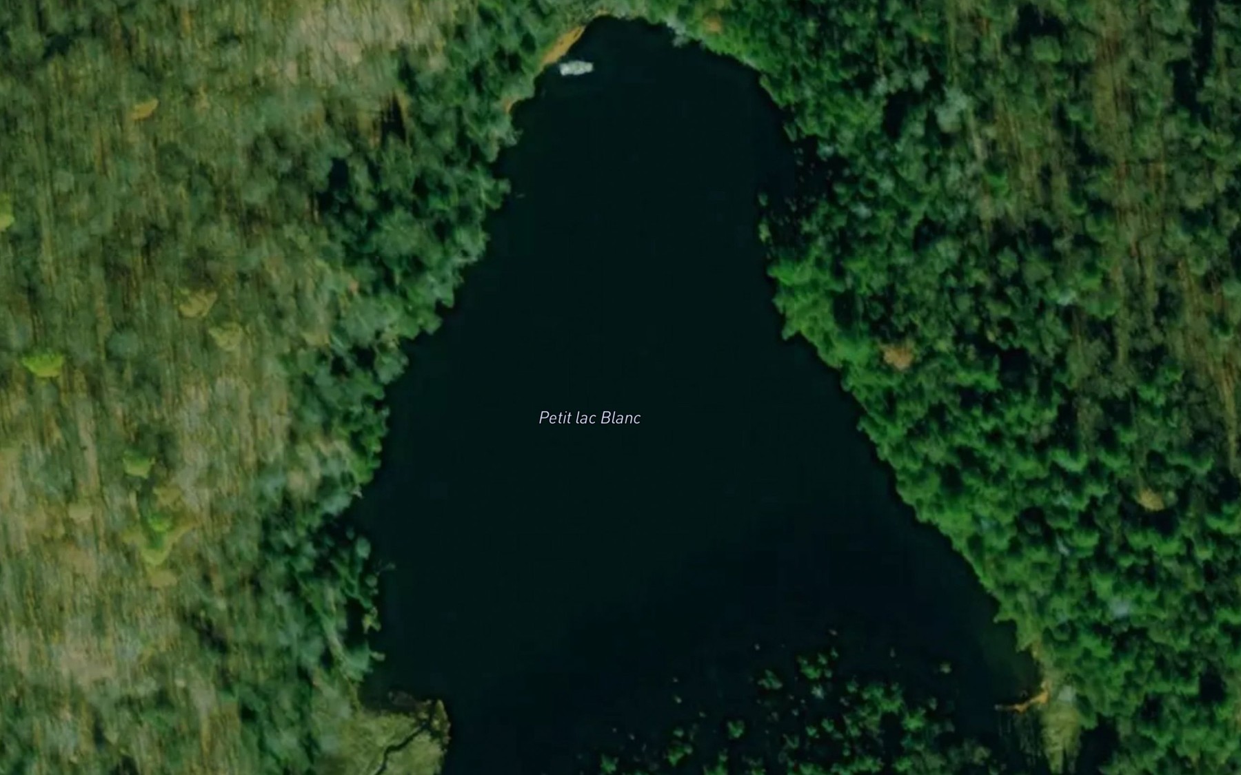Satellite map of the Petit lac Blanc