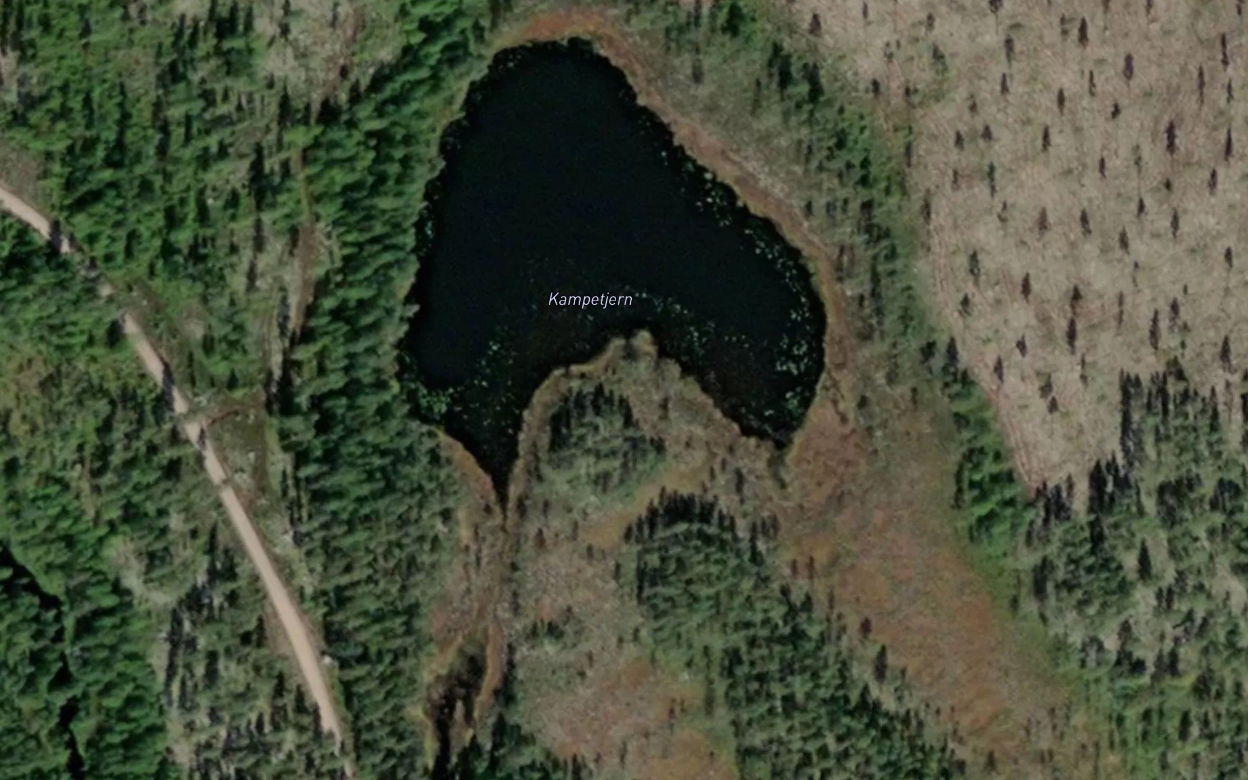 Kampetjern