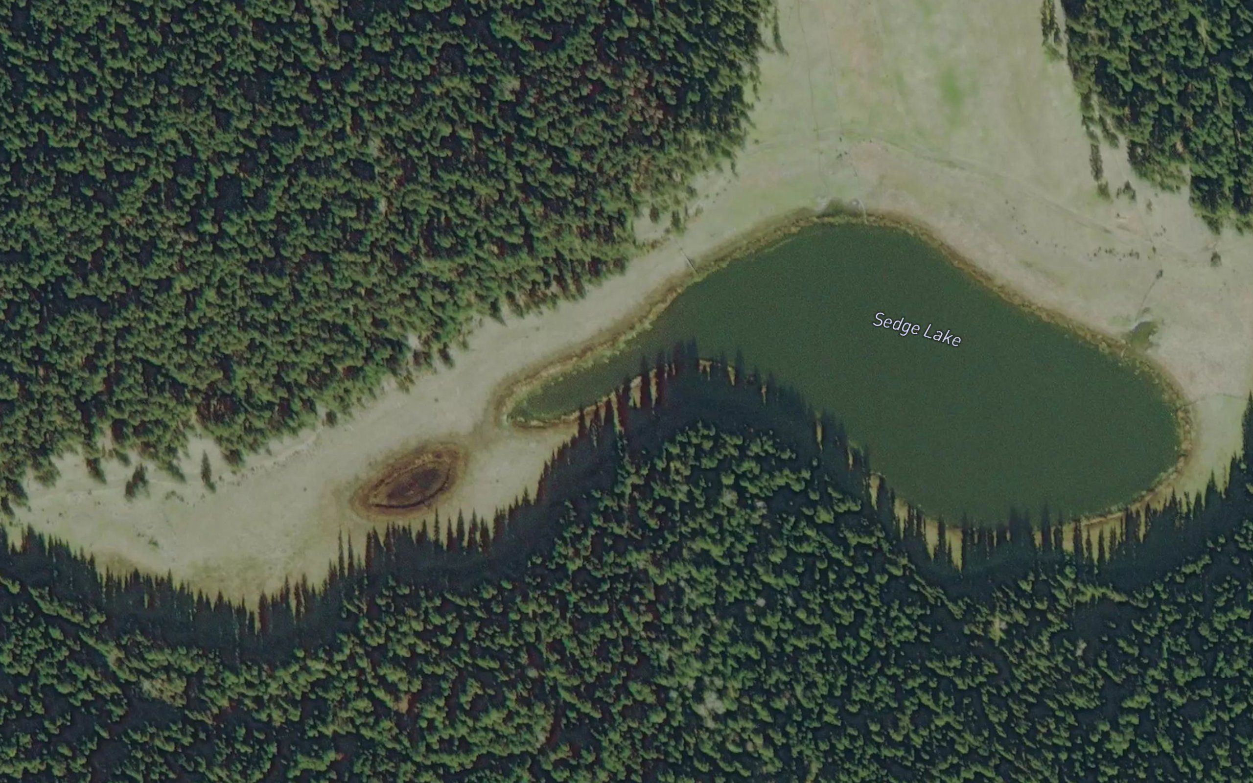 Sedge Lake