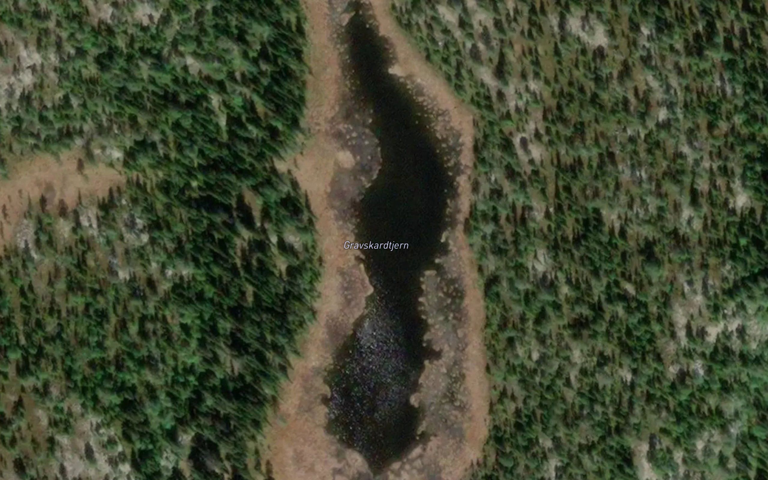 Gravskardtjern