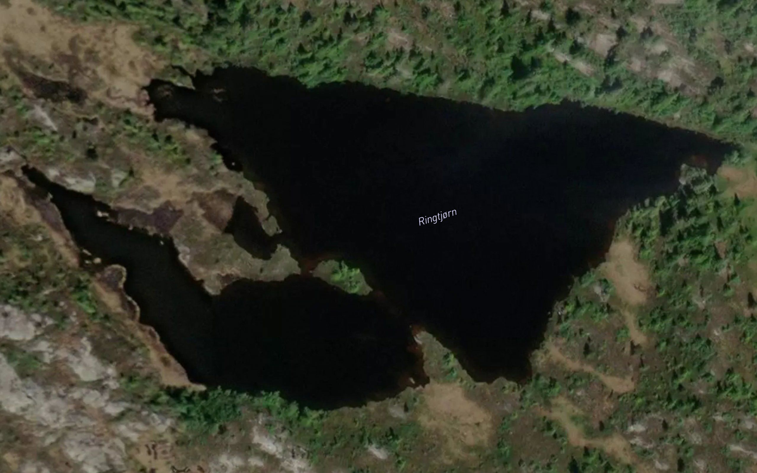 Ringetjonn