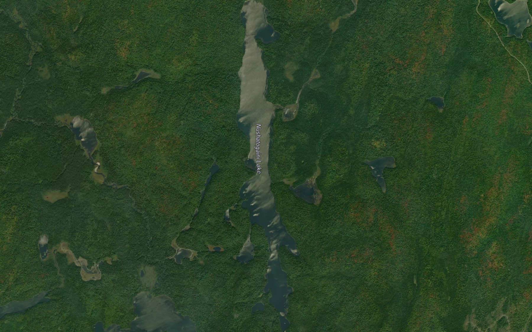 Satellite map of the Nushatogaini Lake