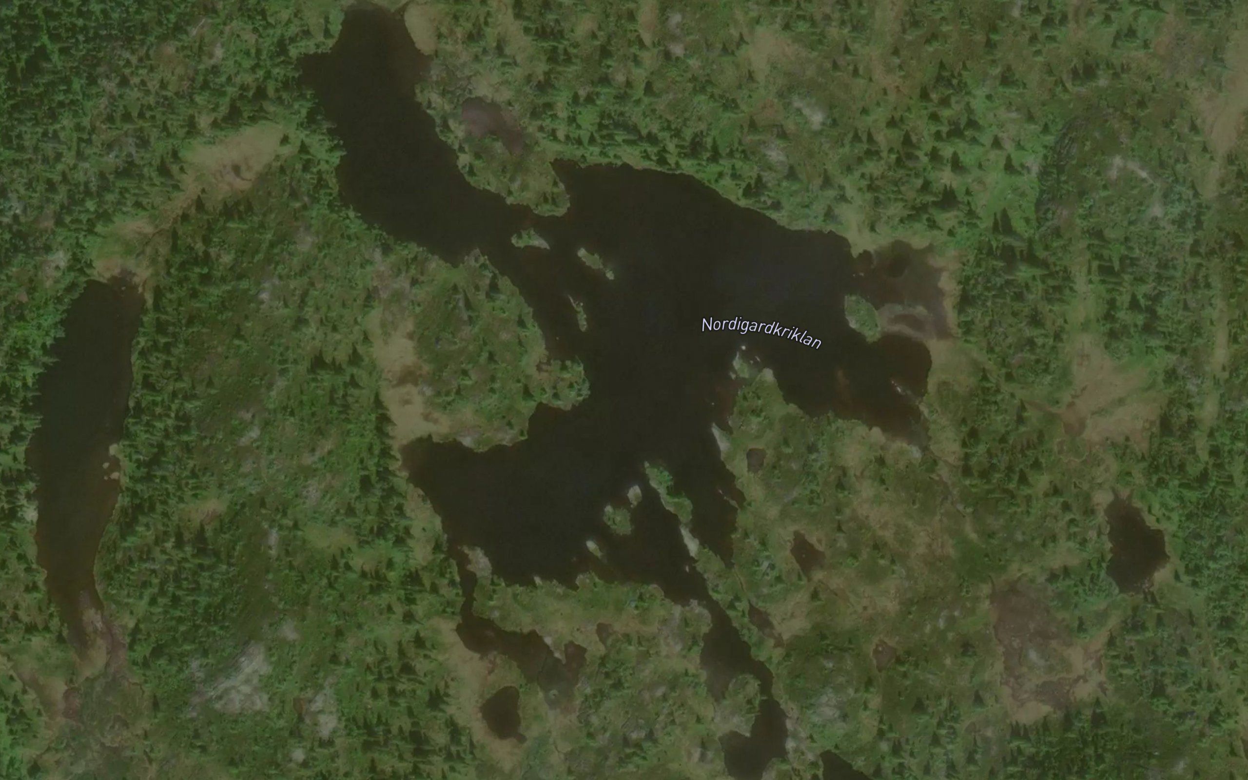 Nordigardkrikollan
