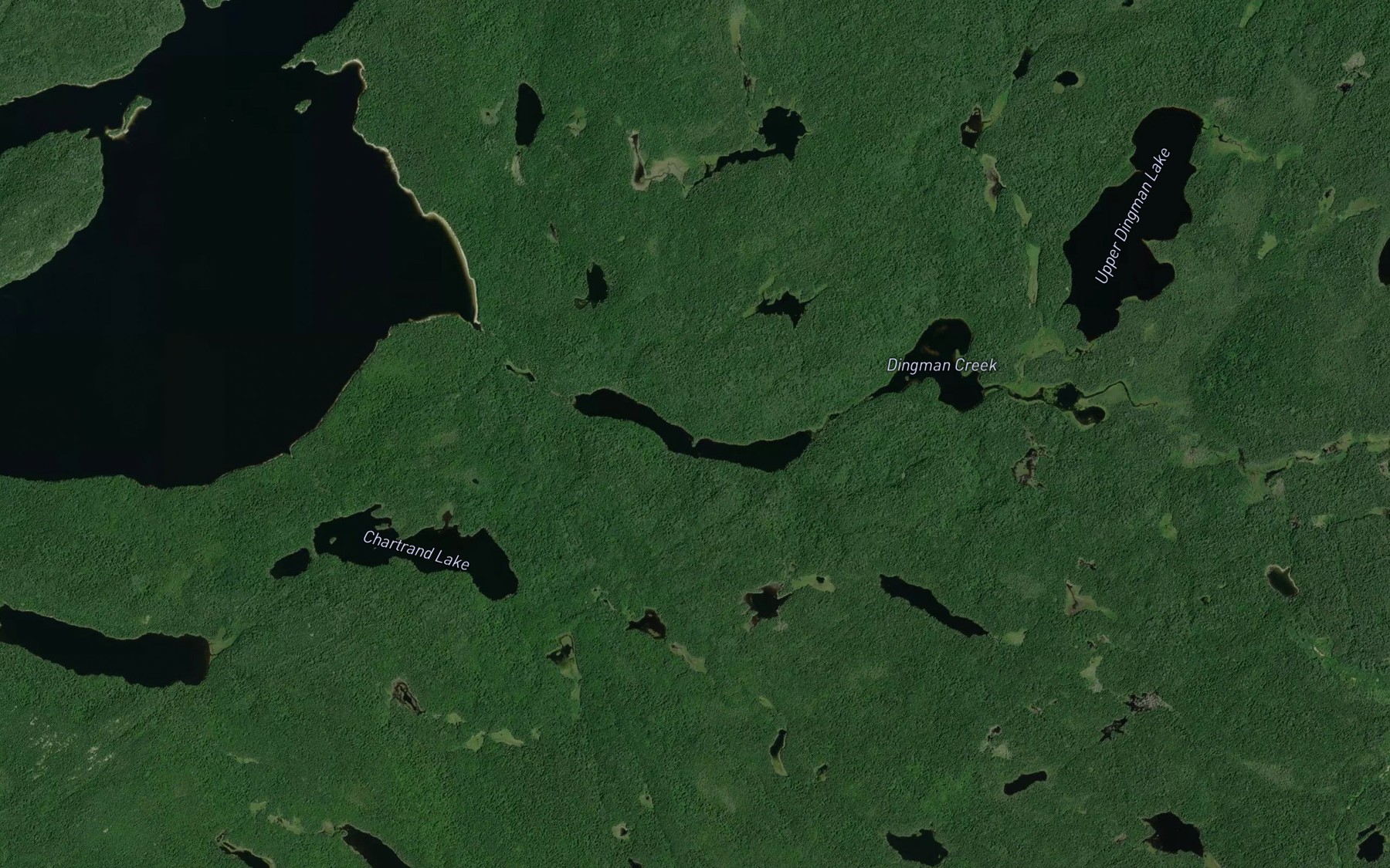 Satellite map of the Dingman Lake