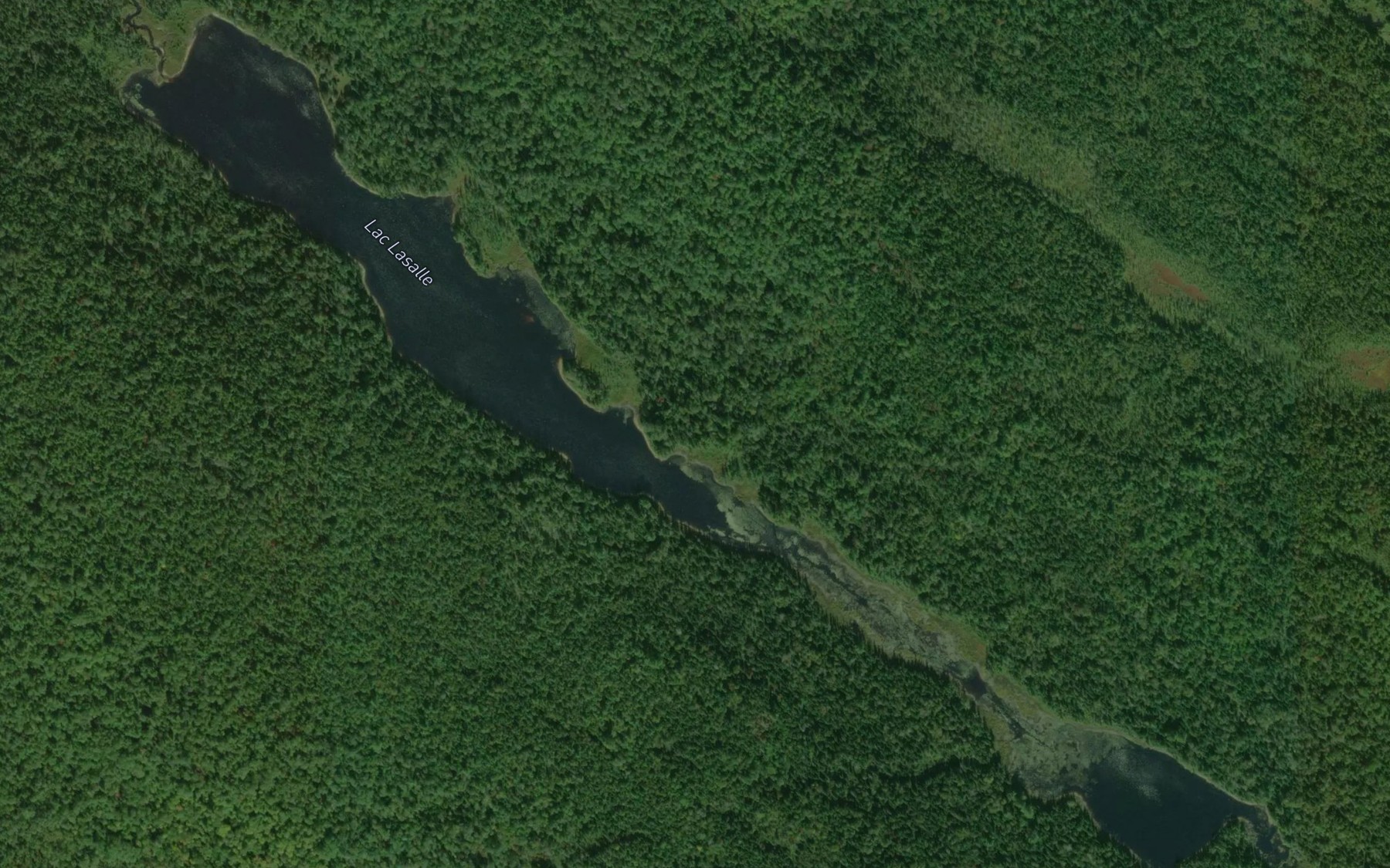 Satellite map of the Lac Lasalle