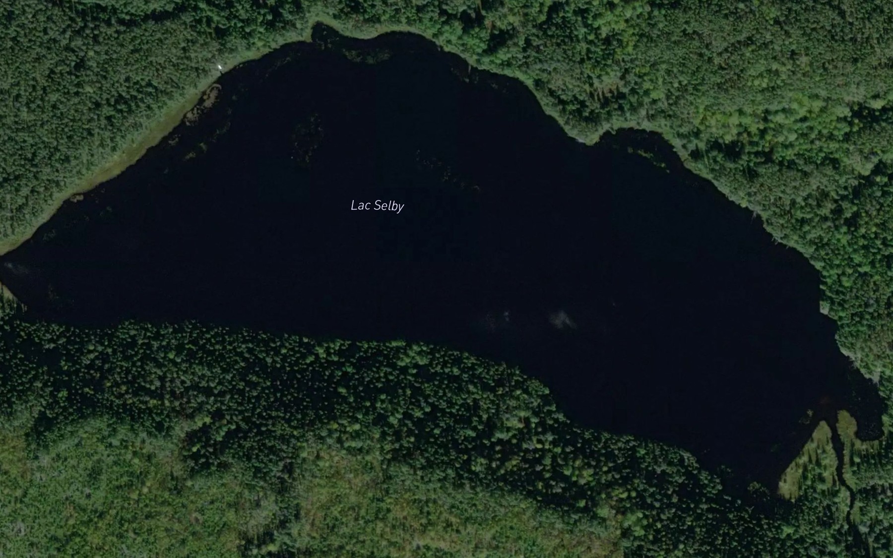 Satellite map of the Lac Selby