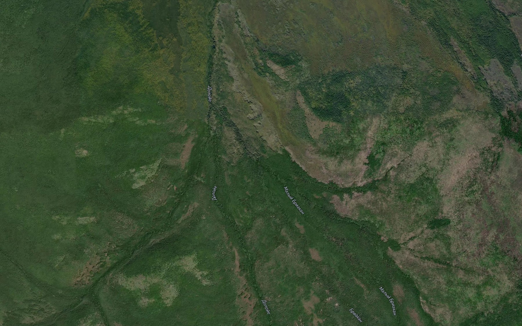 Satellite map of the Malyy Briakan