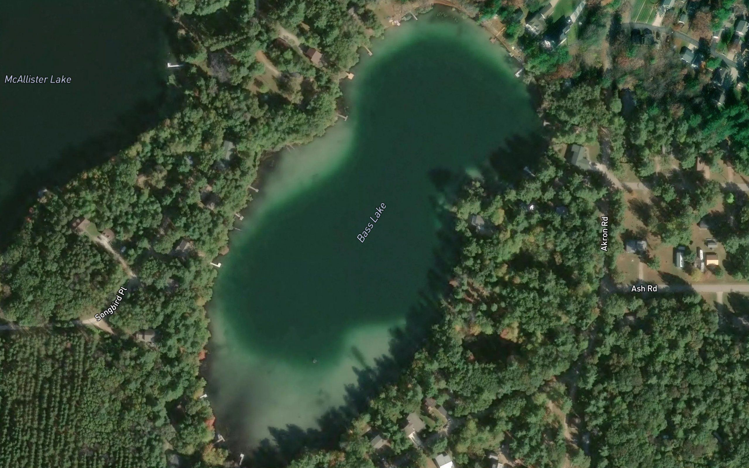 Bass Lake