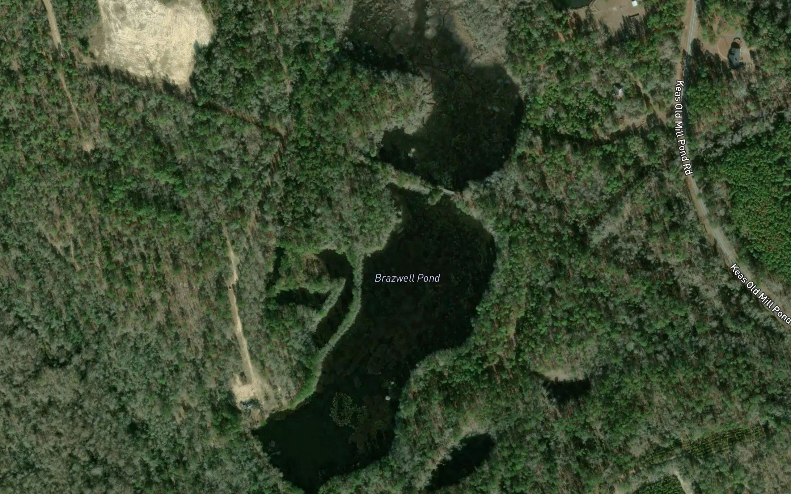 Brazwell Pond