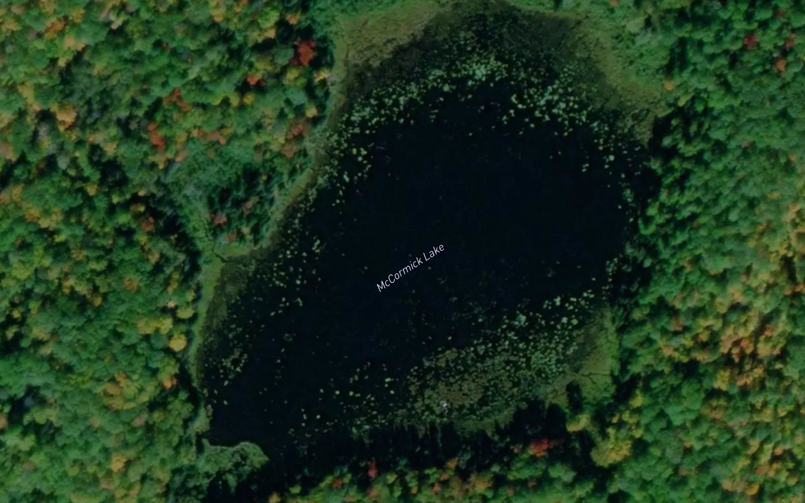 McCormick Lake