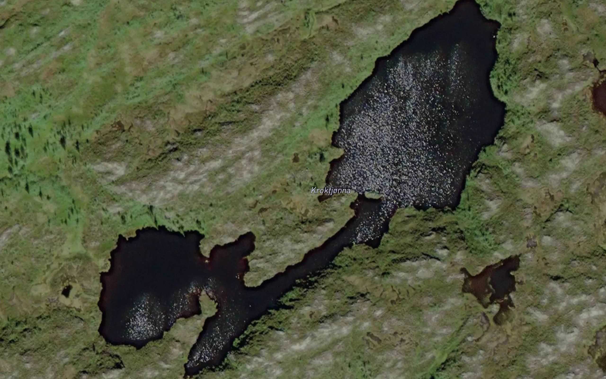 Kroktjorna