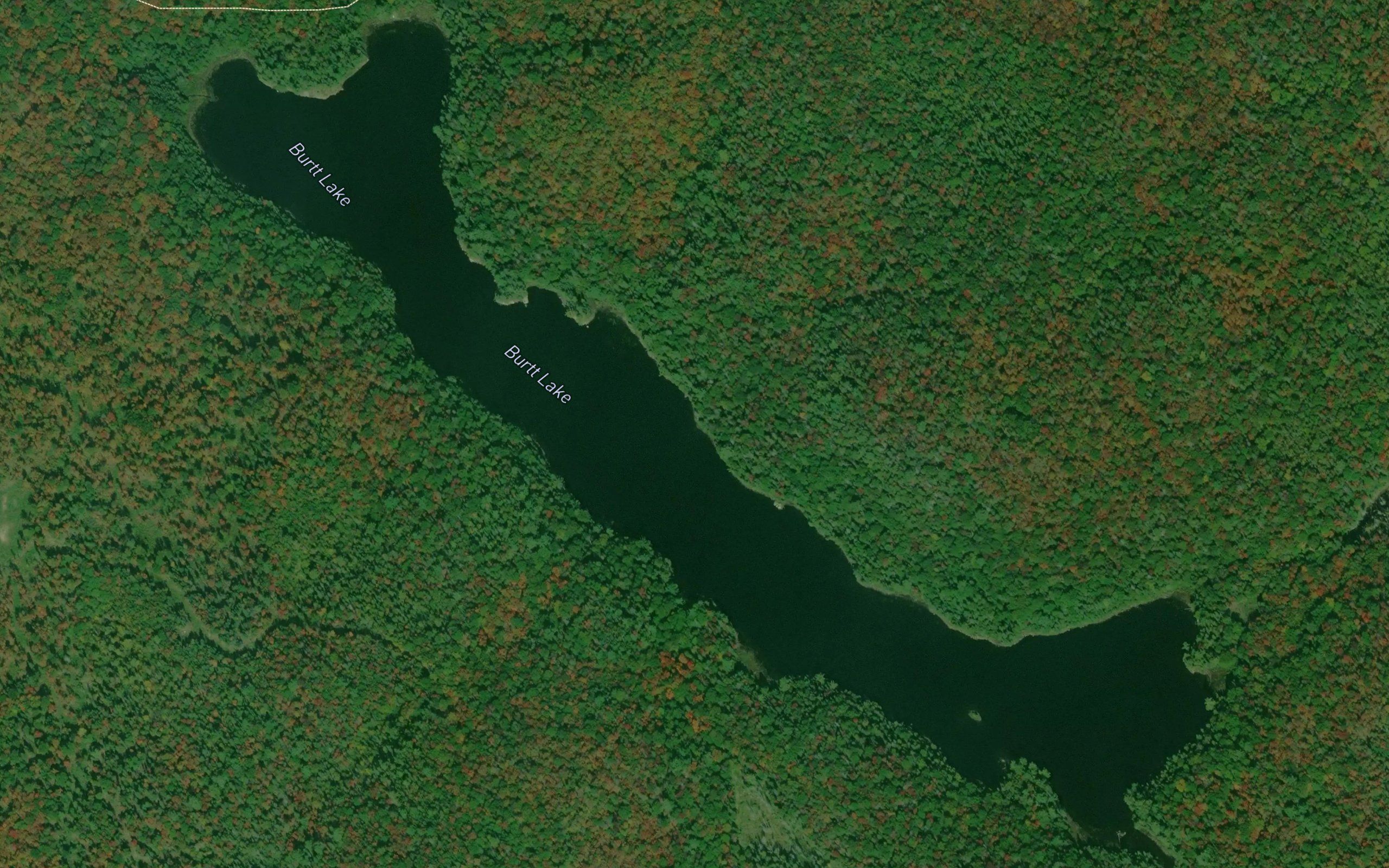 Burtt Lake