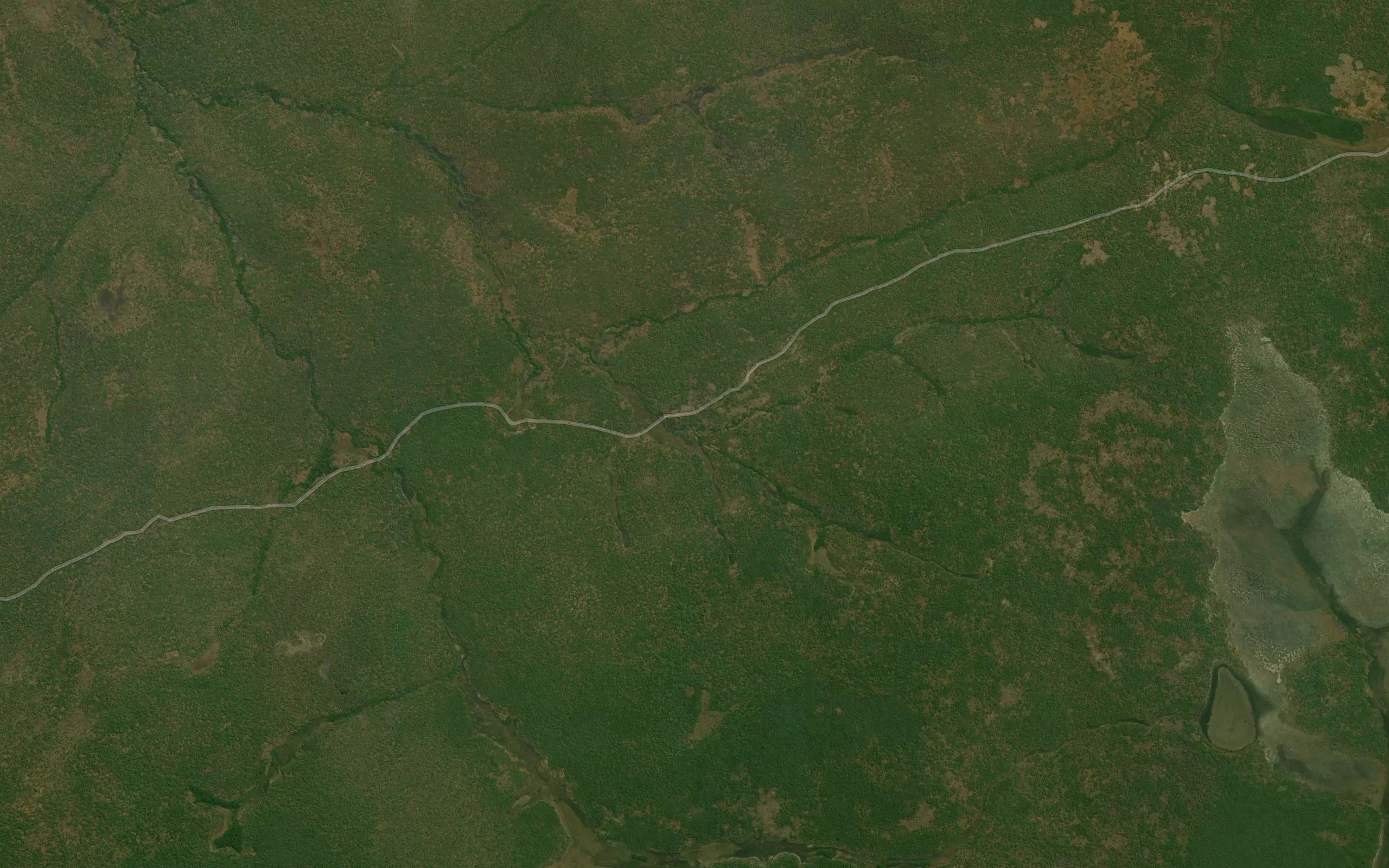 Caiota