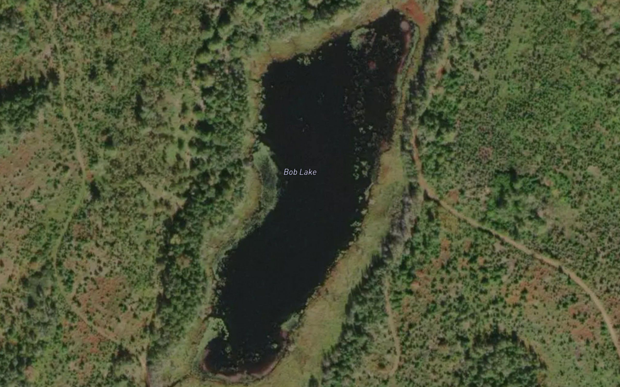 Bob Lake