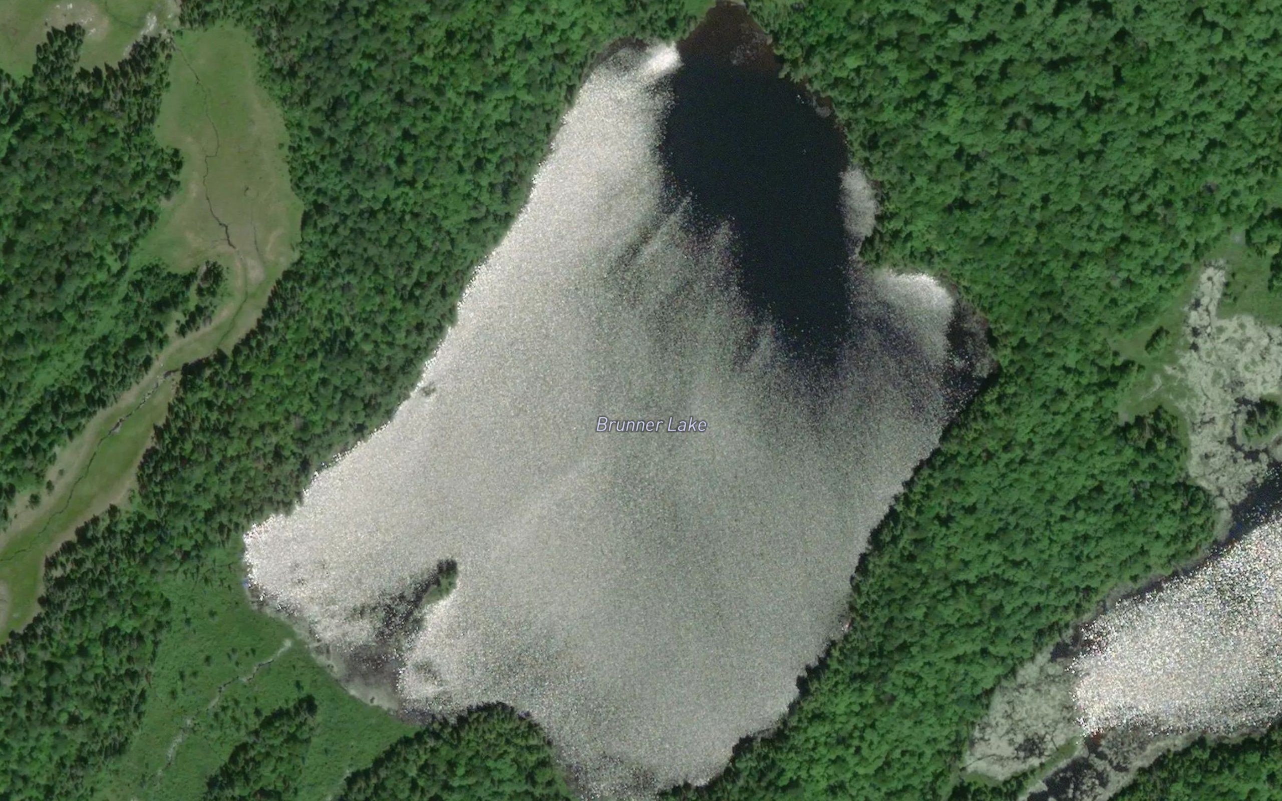 Brunner Lake