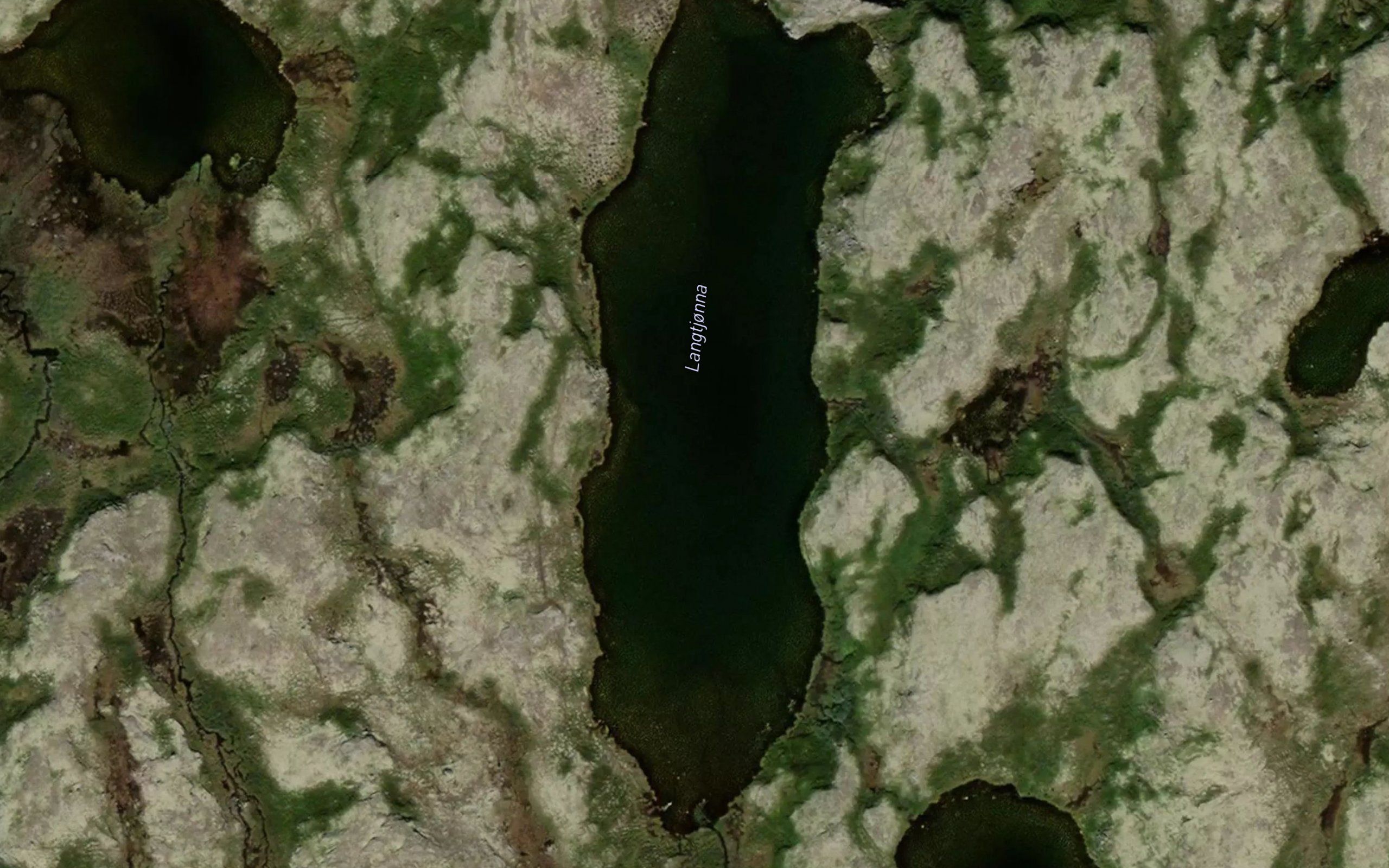 Langtjonna