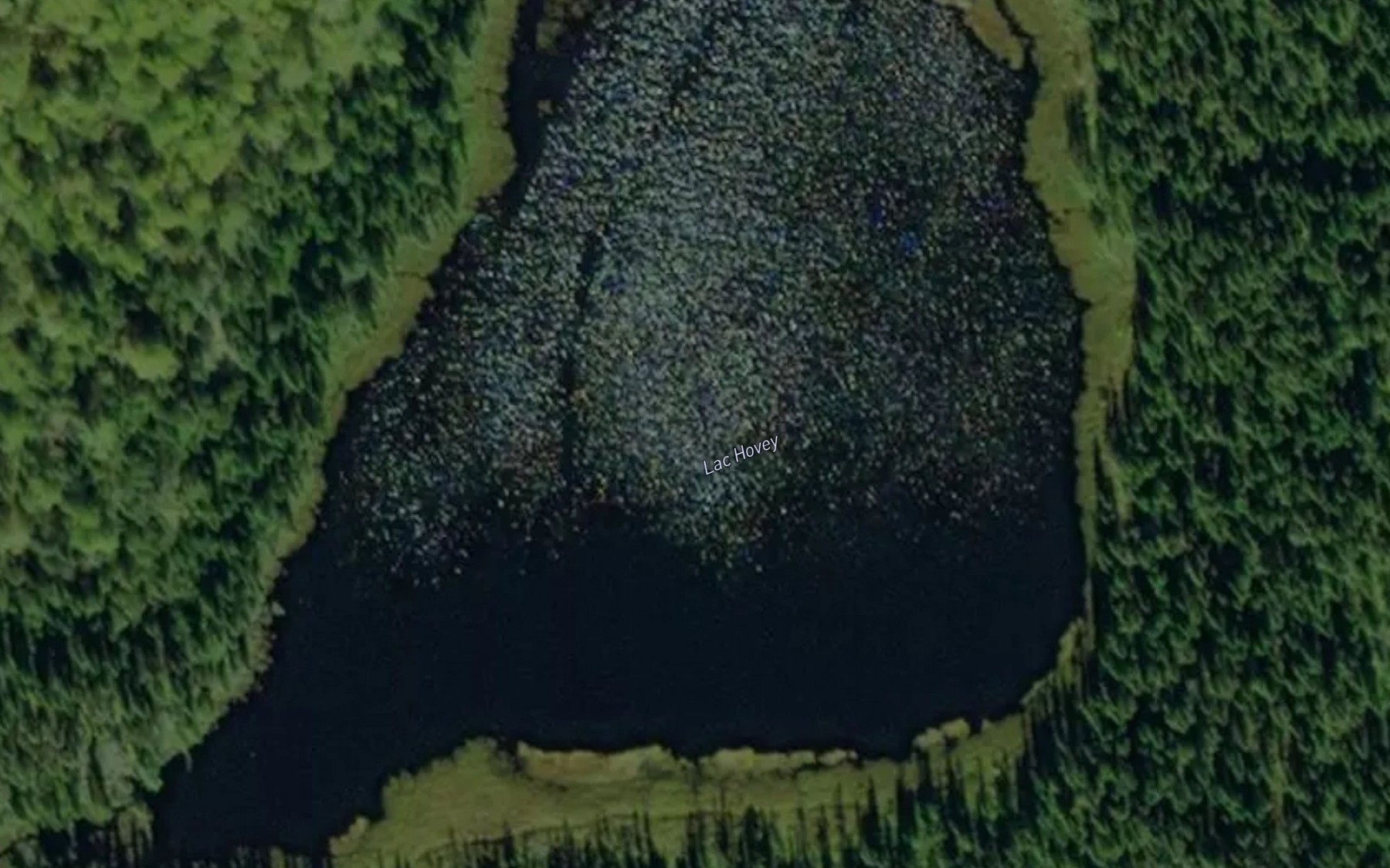 Satellite map of the Lac Hovey