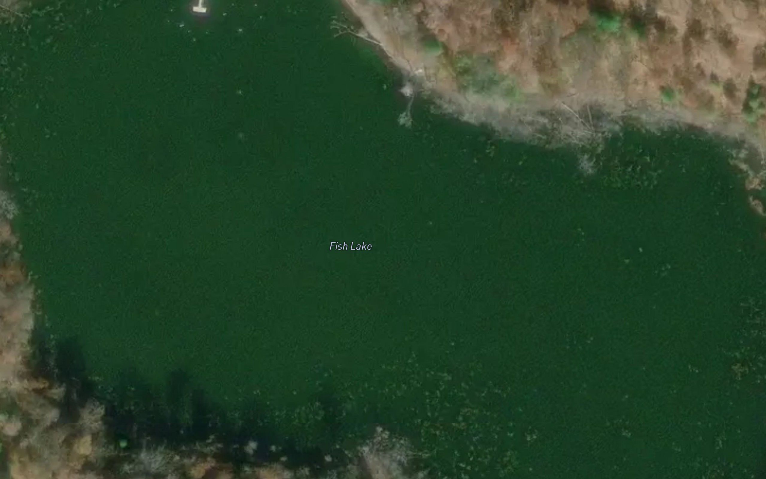 Fish Lake