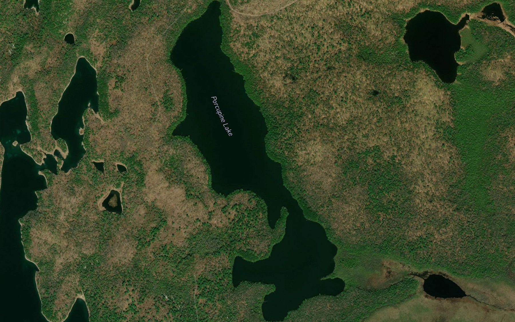 Satellite map of the Porcupine Lake