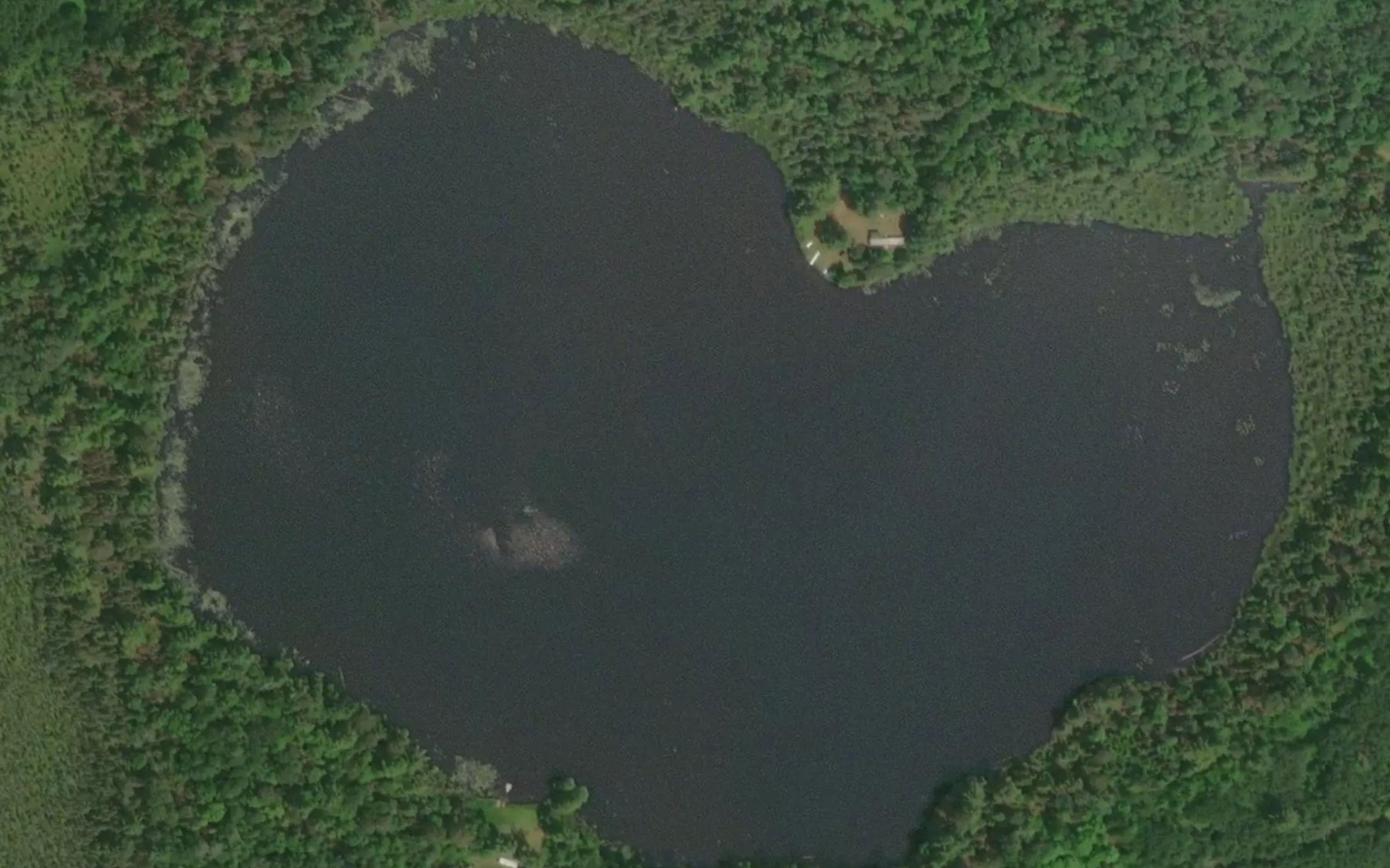 Satellite map of the Birch Lake