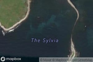 The Sylvia