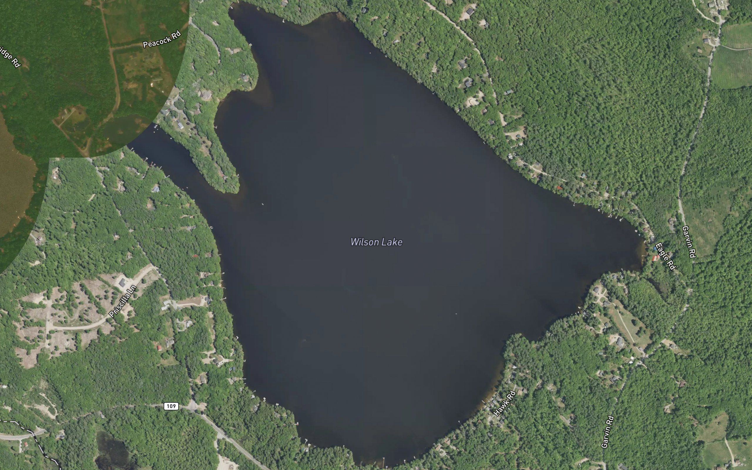 Wilson Lake