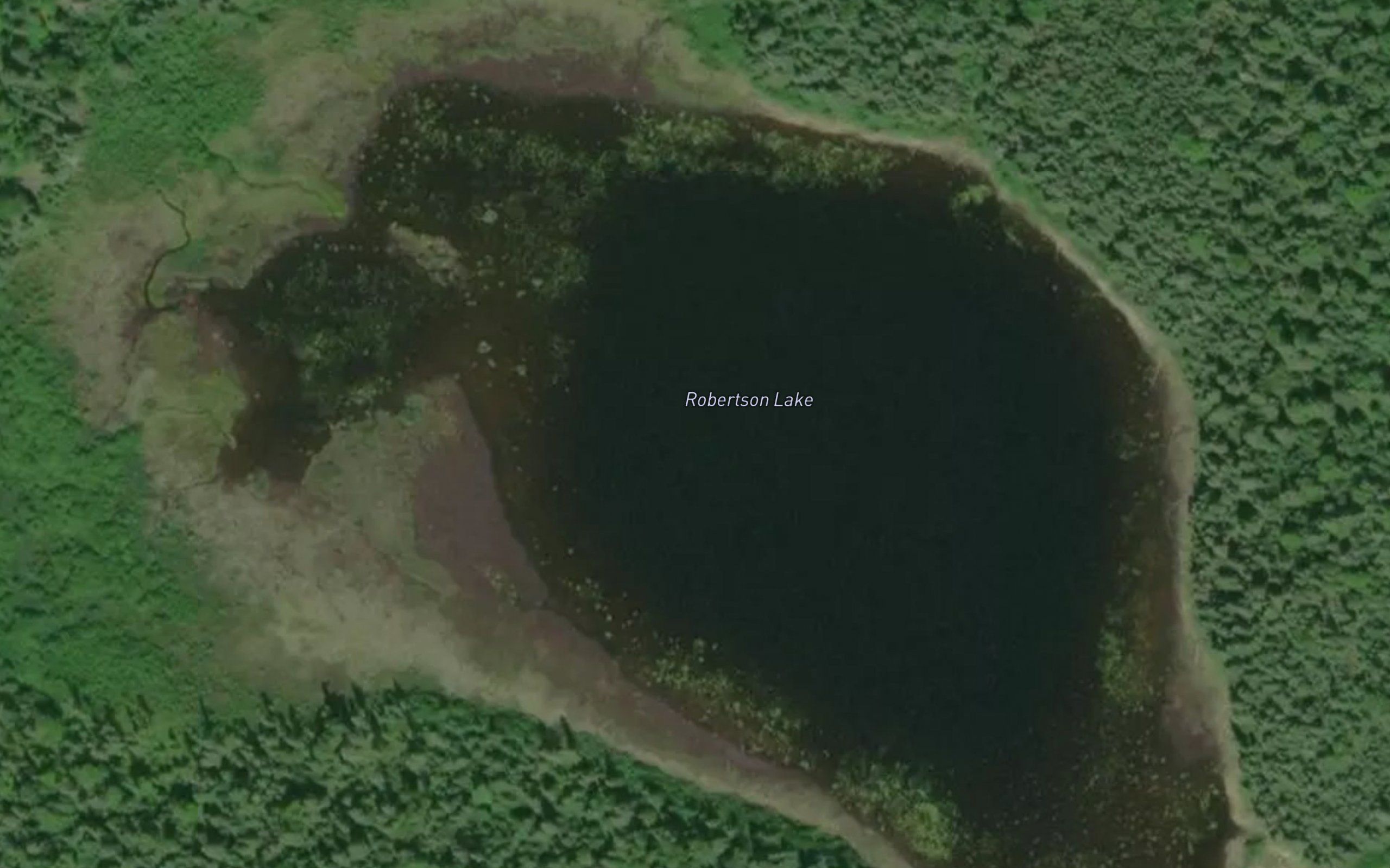 Robertson Lake