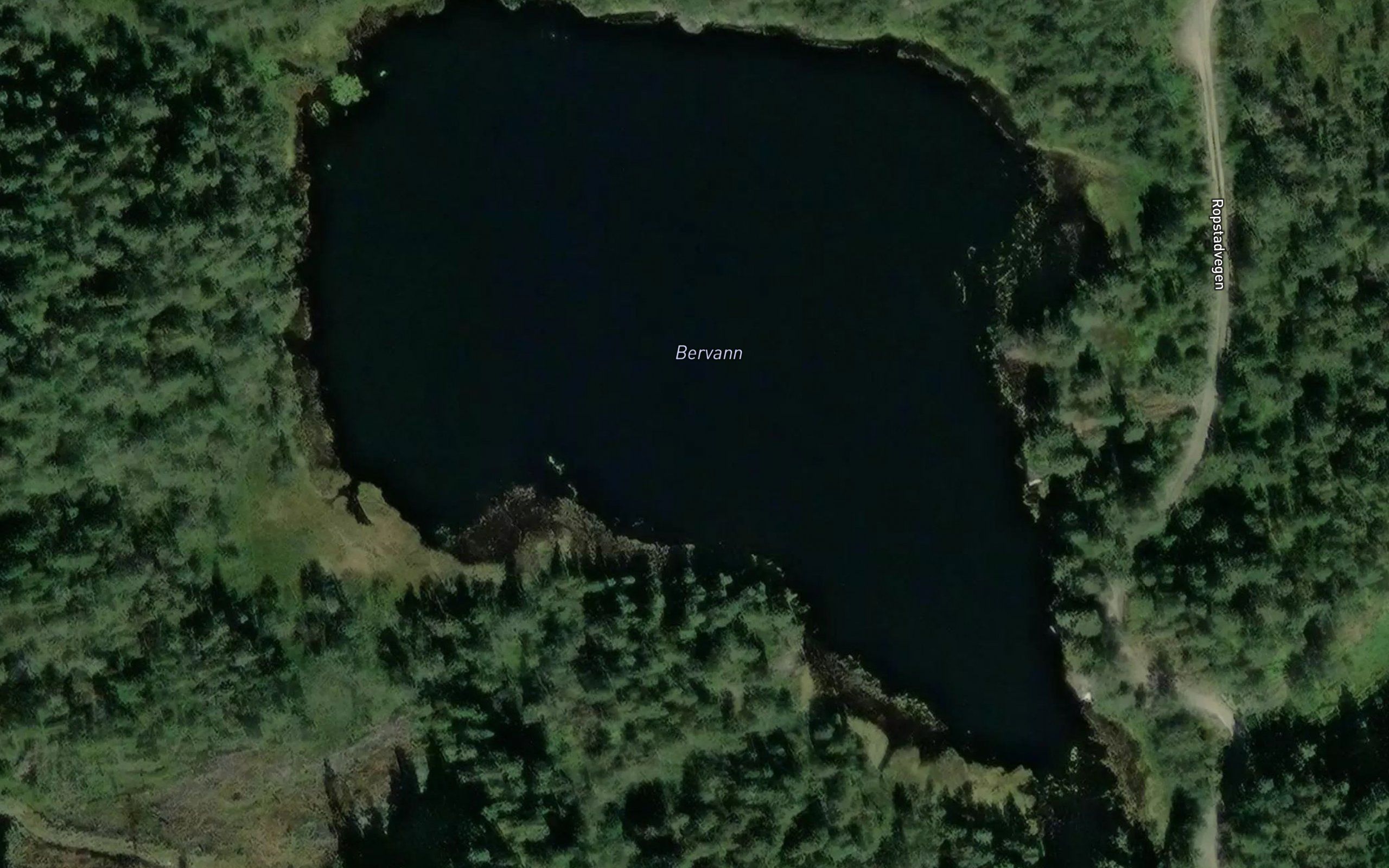 Bervann