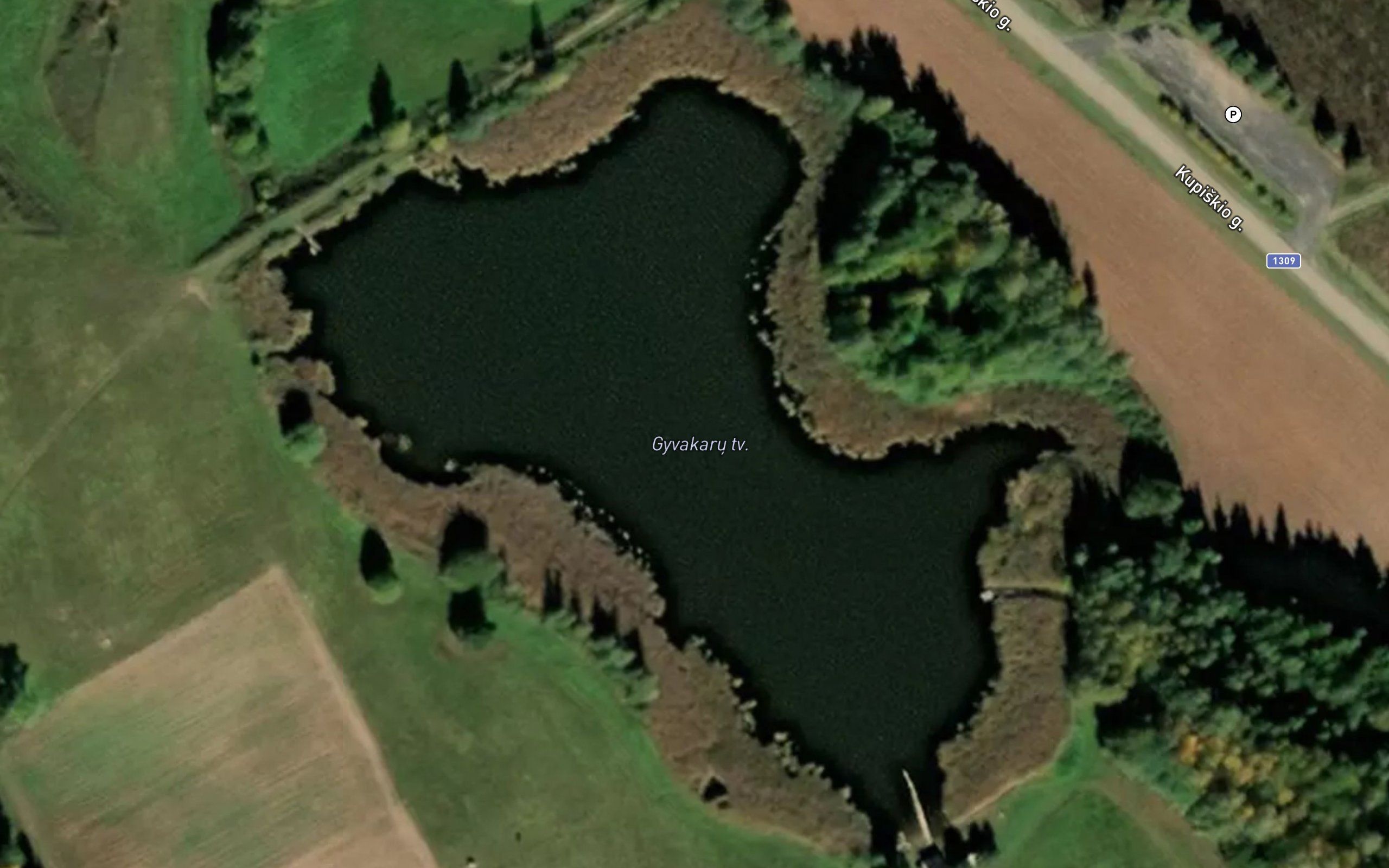 Gyvakaru Tvenkinys