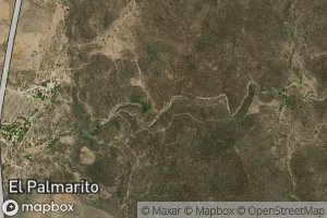 Satellite map of the Barranca El Palmarito