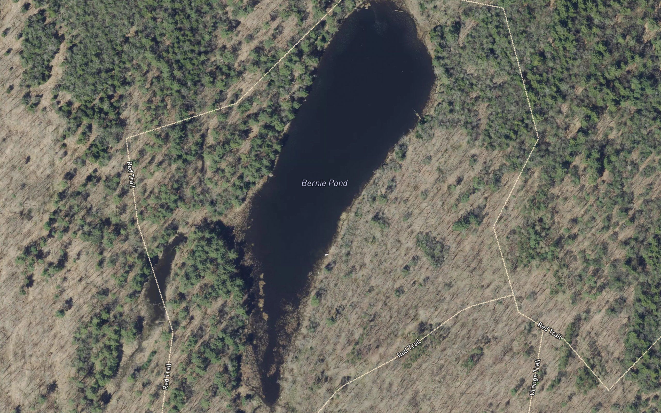 Bernie Pond