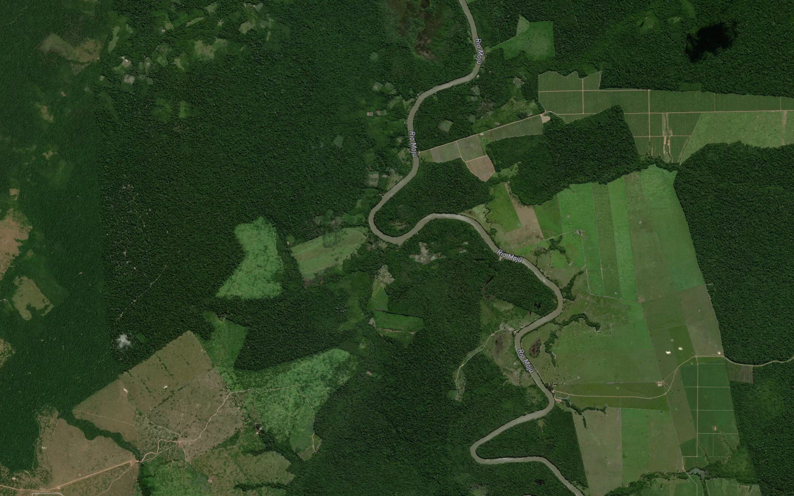 Rio Mamorana